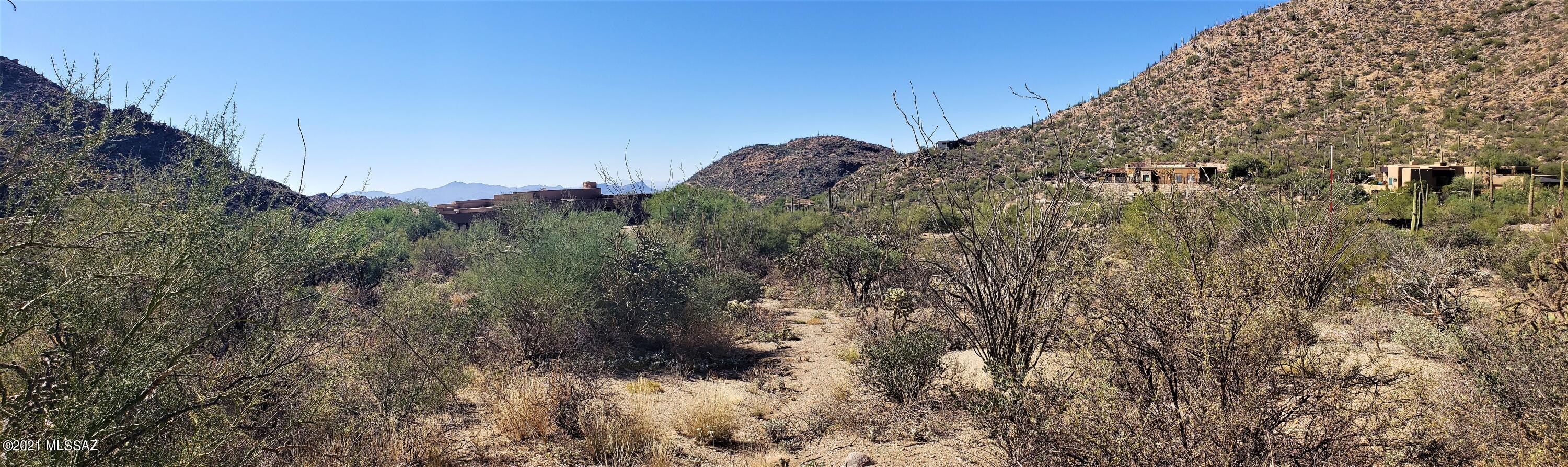 Canyon Pass II At Dove Mountain (49-110) - Land