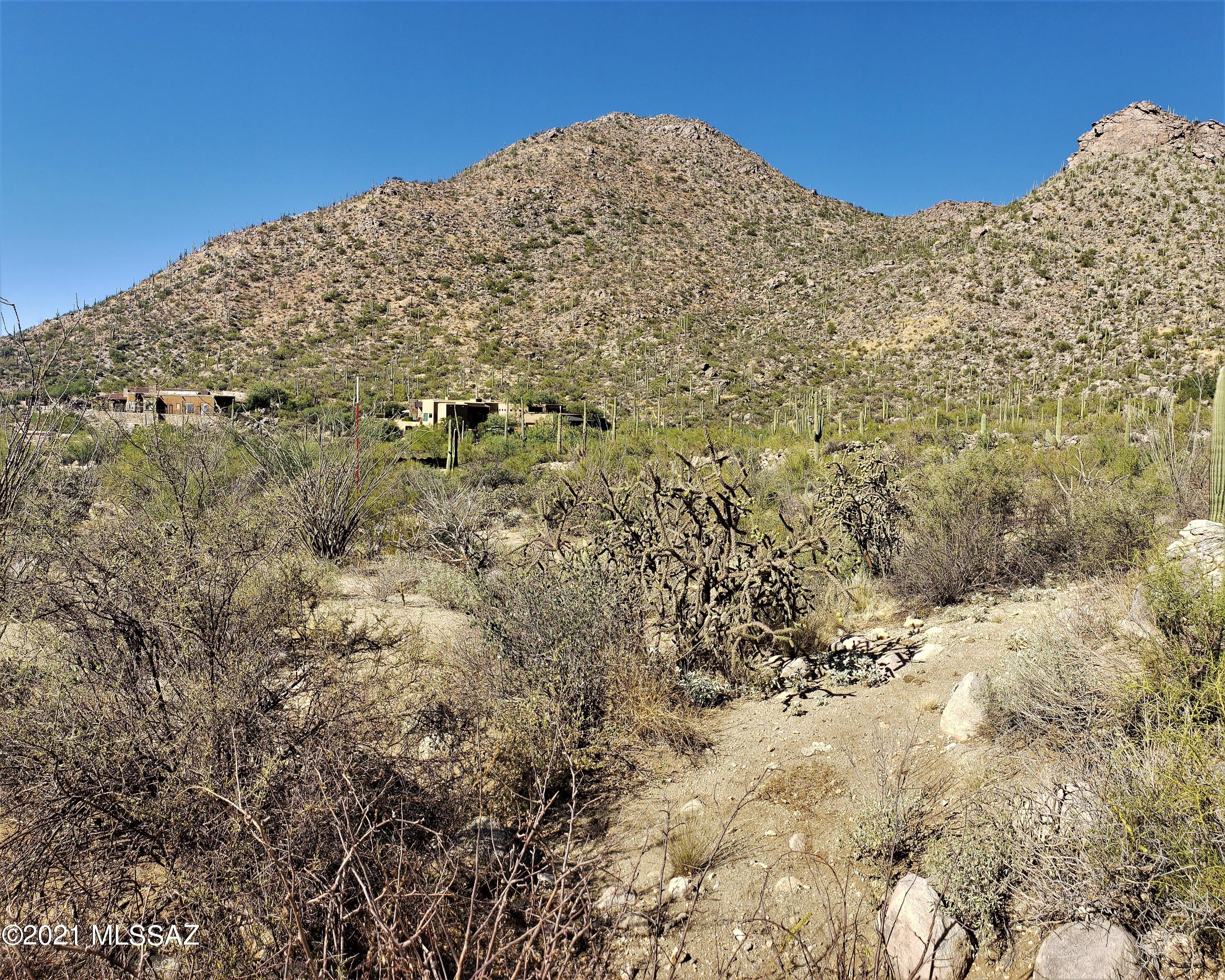 Canyon Pass II At Dove Mountain (49-110) - Land