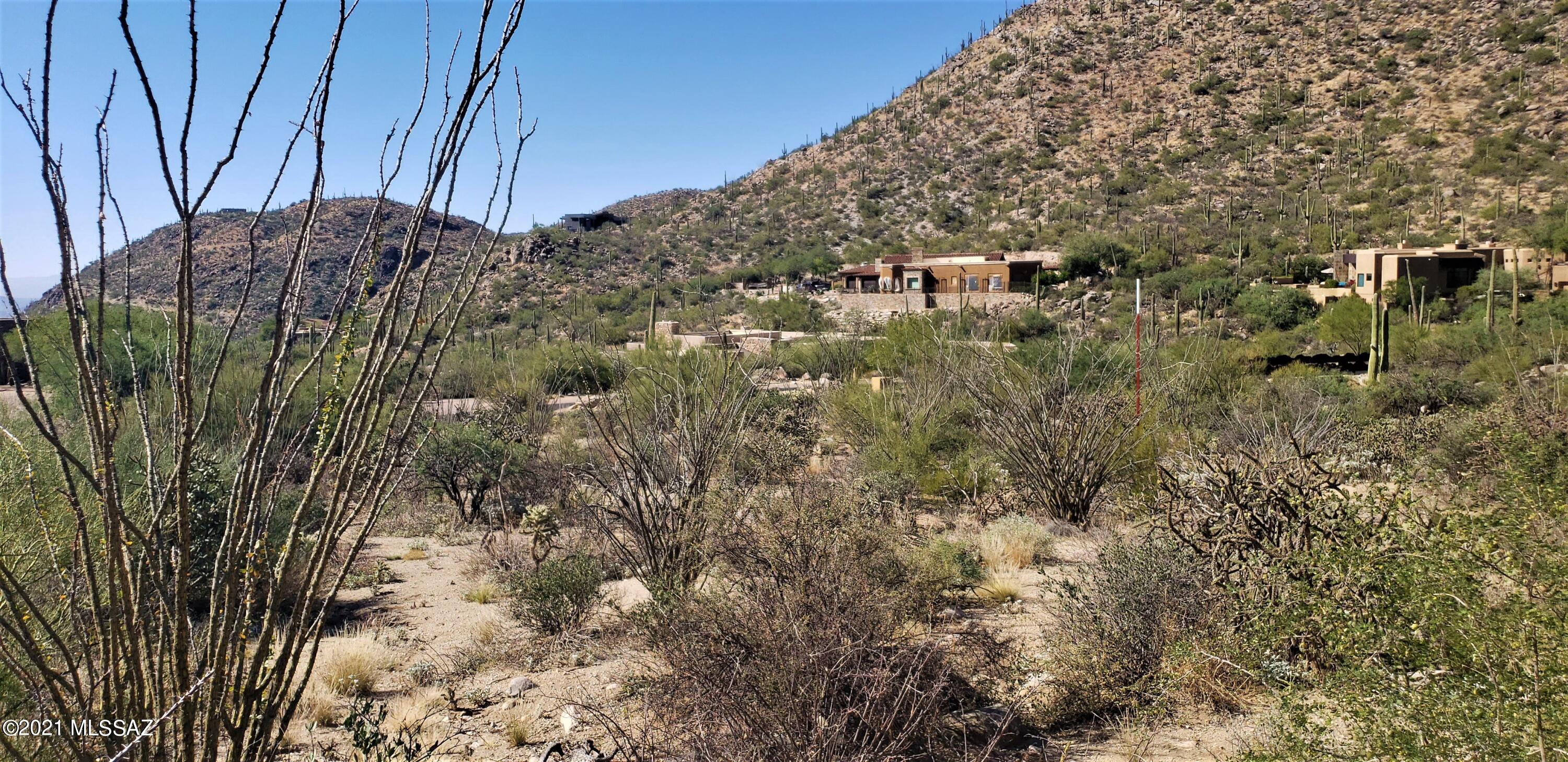 Canyon Pass II At Dove Mountain (49-110) - Land