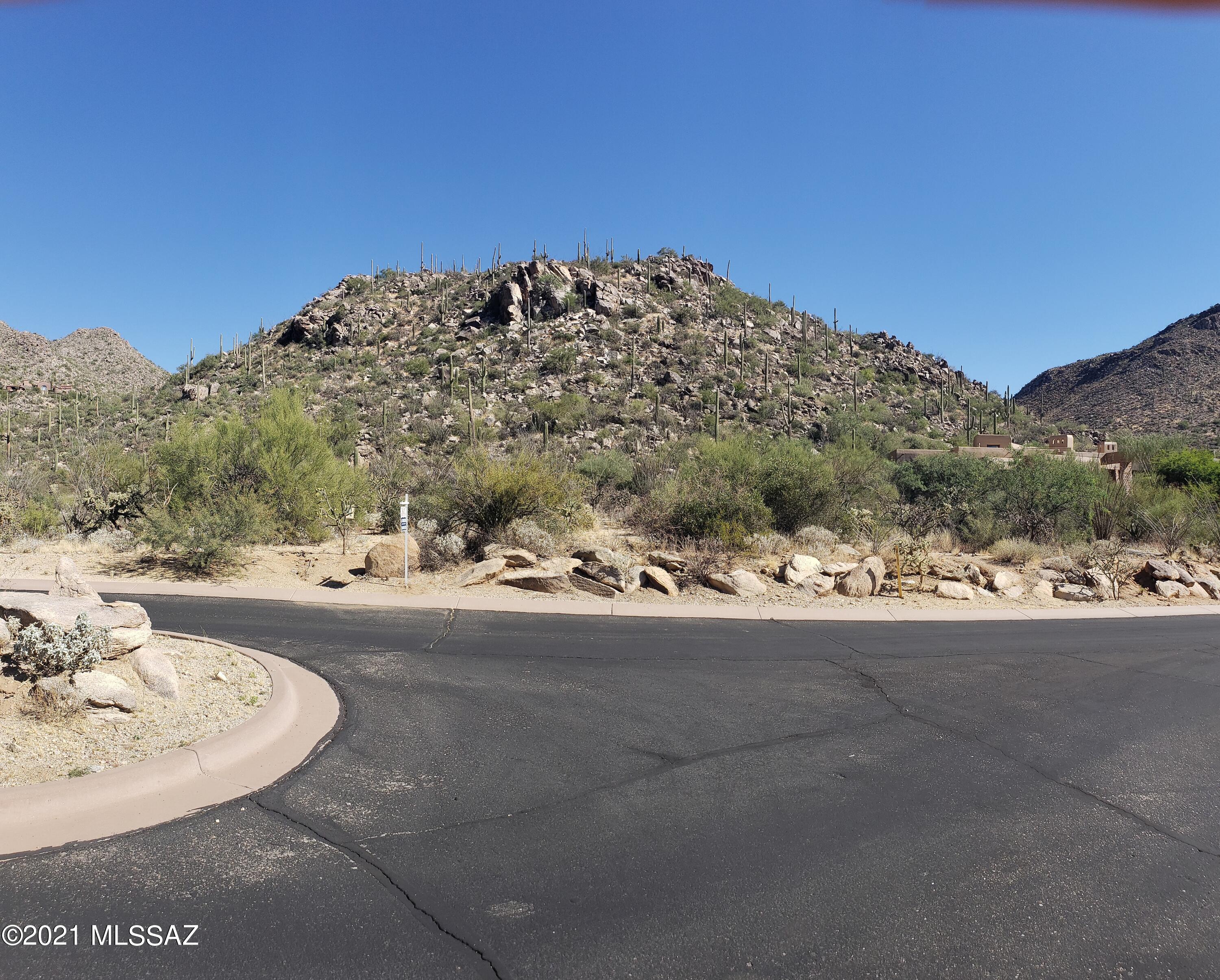 Canyon Pass II At Dove Mountain (49-110) - Land