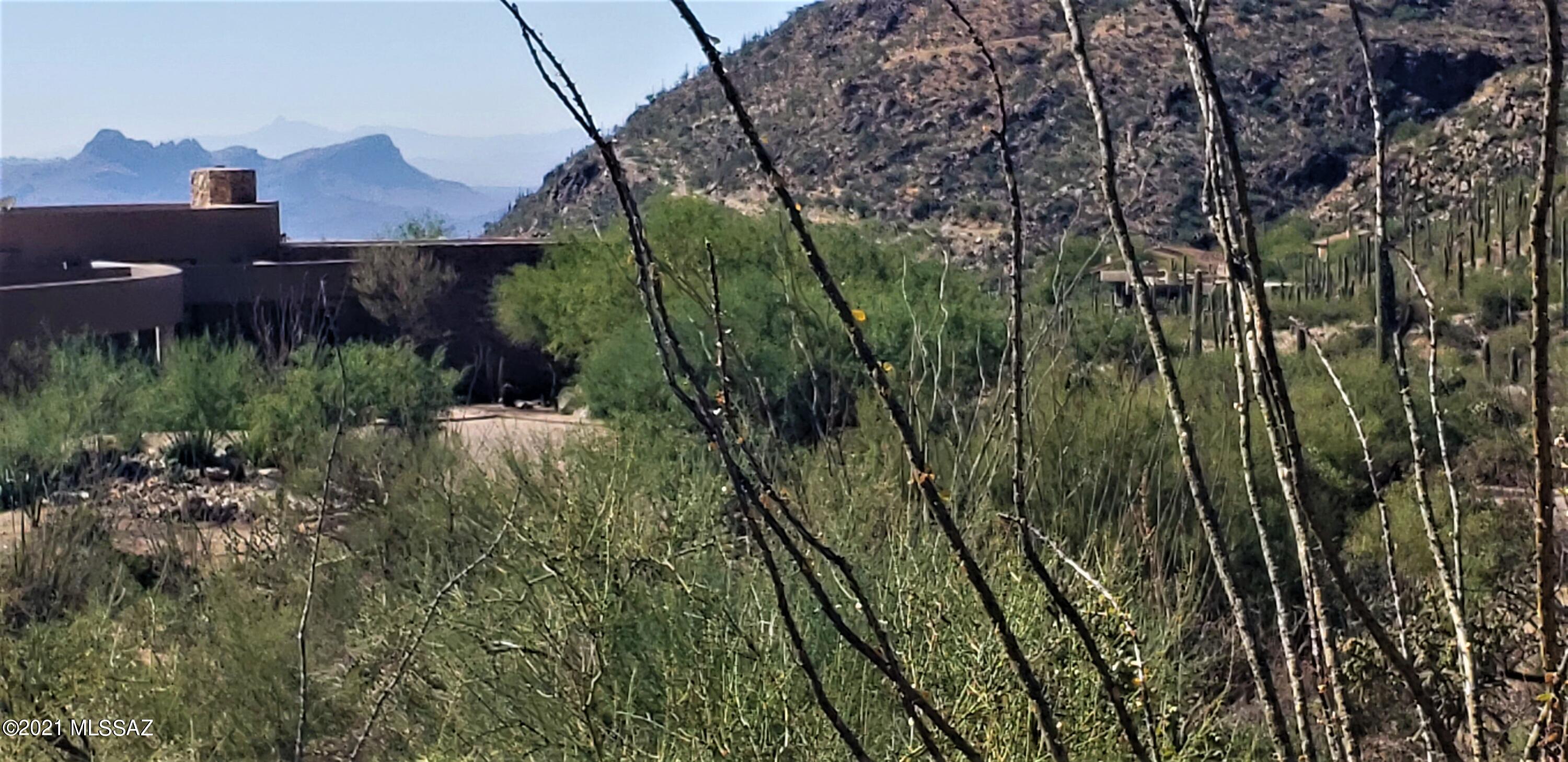 Canyon Pass II At Dove Mountain (49-110) - Land