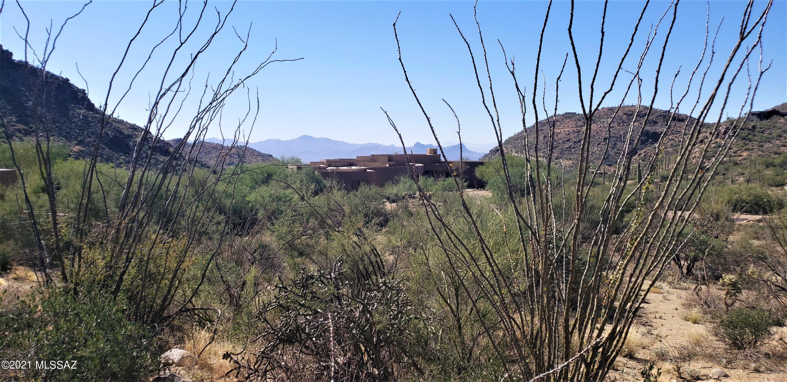 Canyon Pass II At Dove Mountain (49-110) - Land