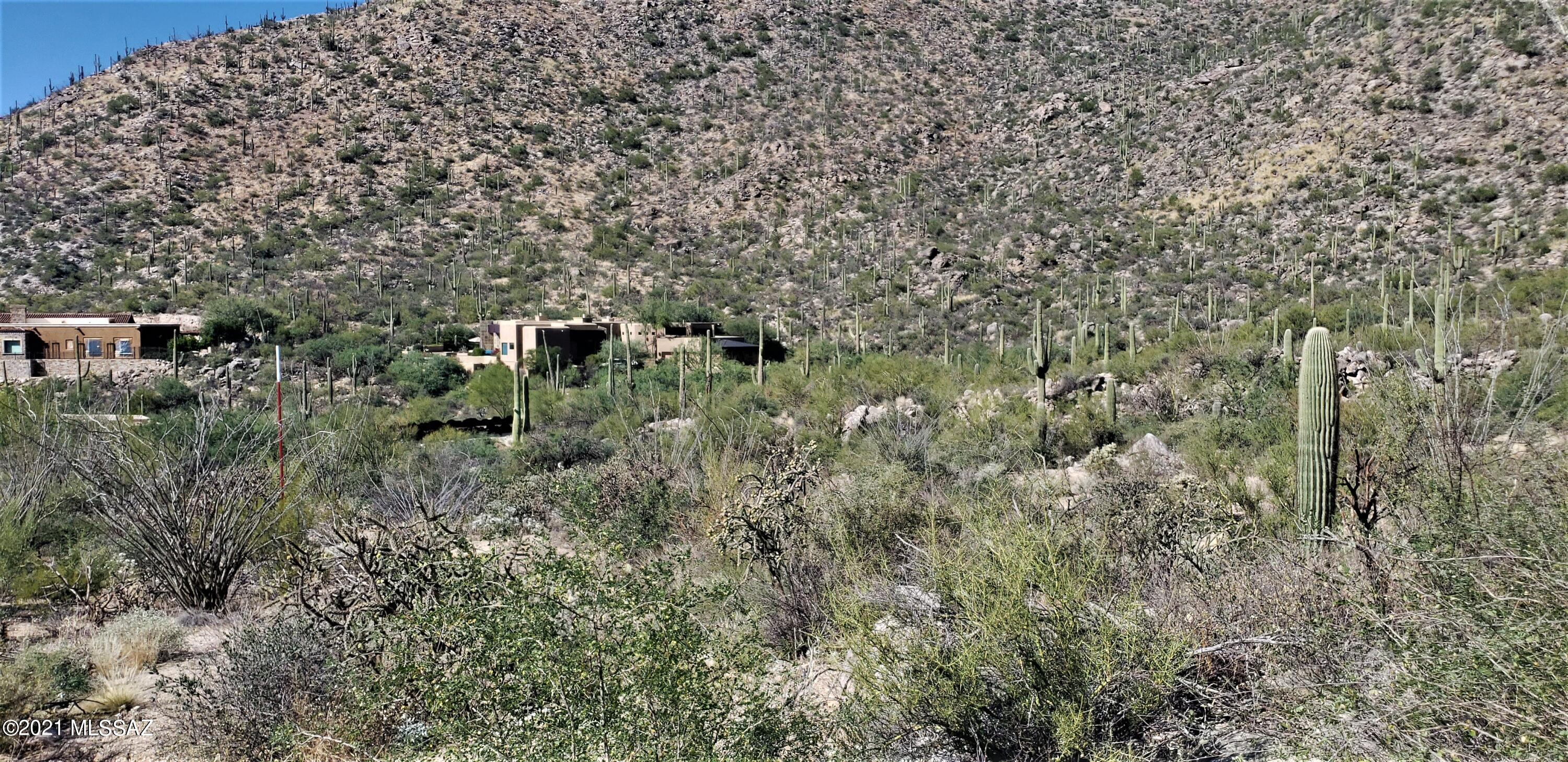 Canyon Pass II At Dove Mountain (49-110) - Land
