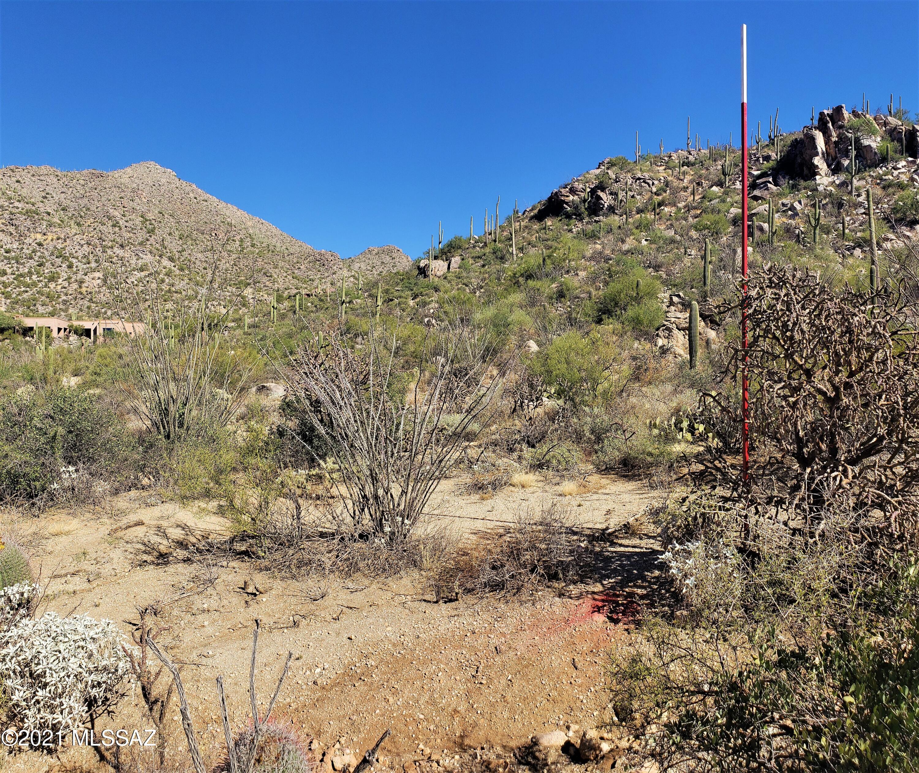 Canyon Pass II At Dove Mountain (49-110) - Land