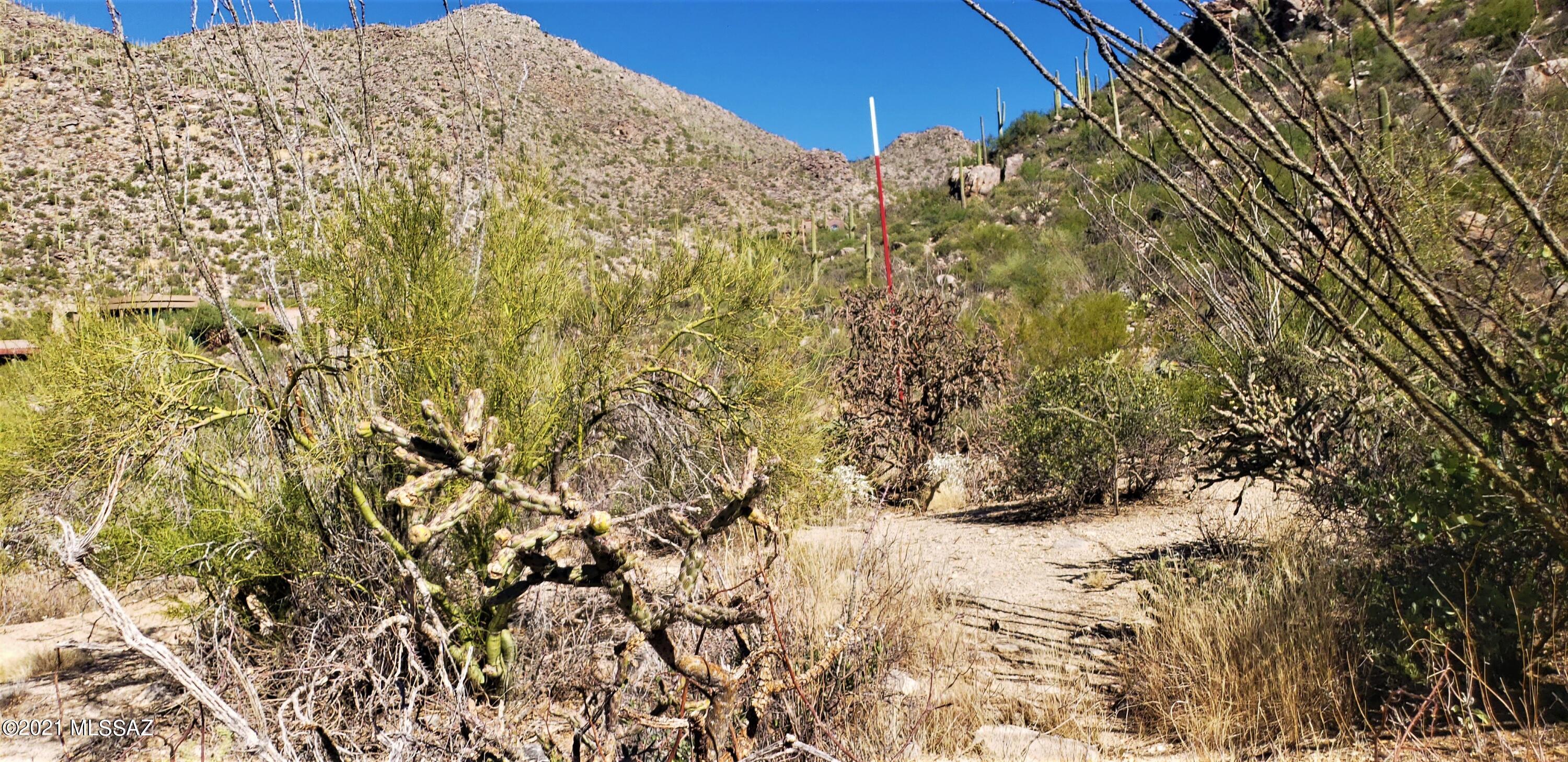 Canyon Pass II At Dove Mountain (49-110) - Land