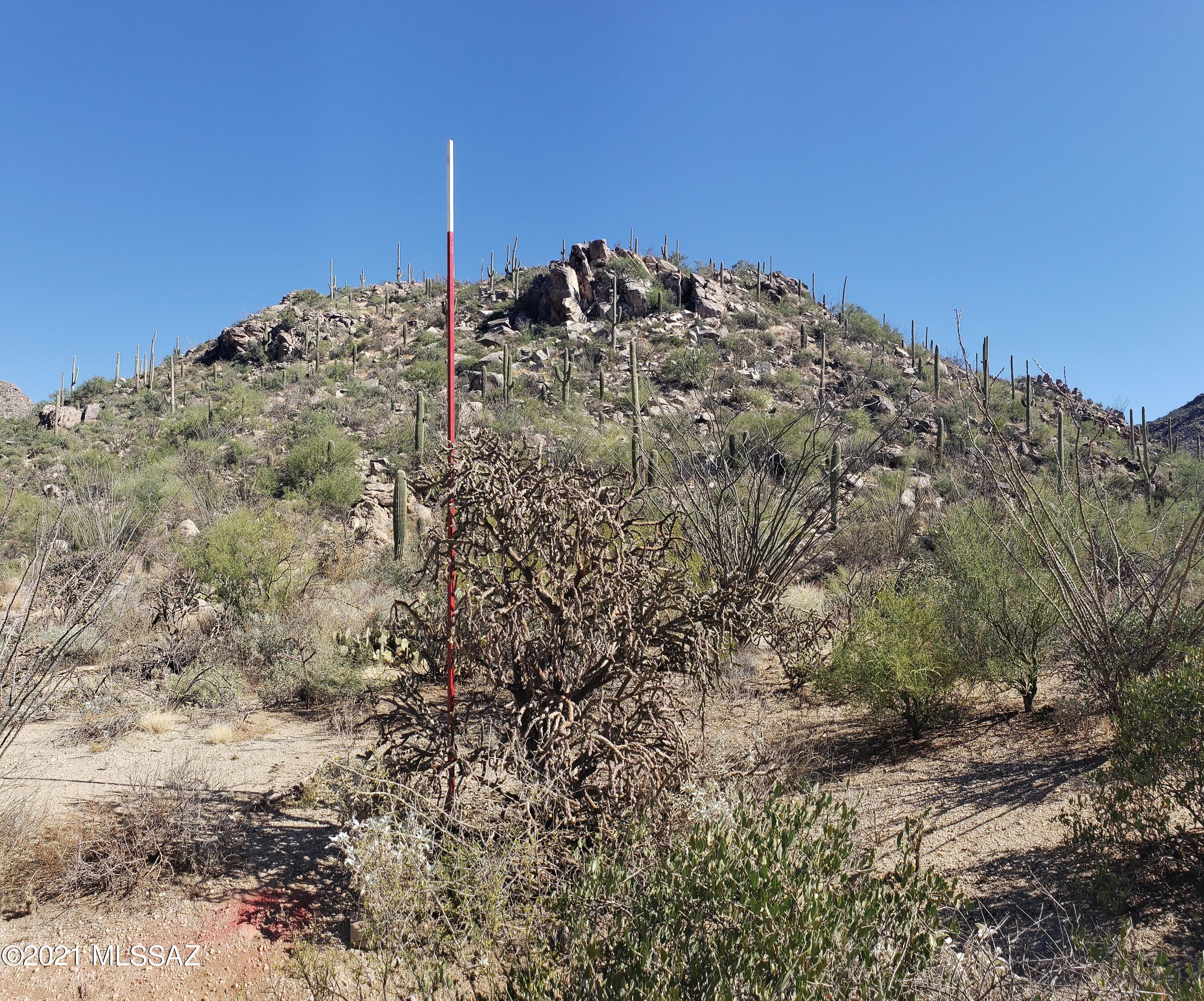 Canyon Pass II At Dove Mountain (49-110) - Land