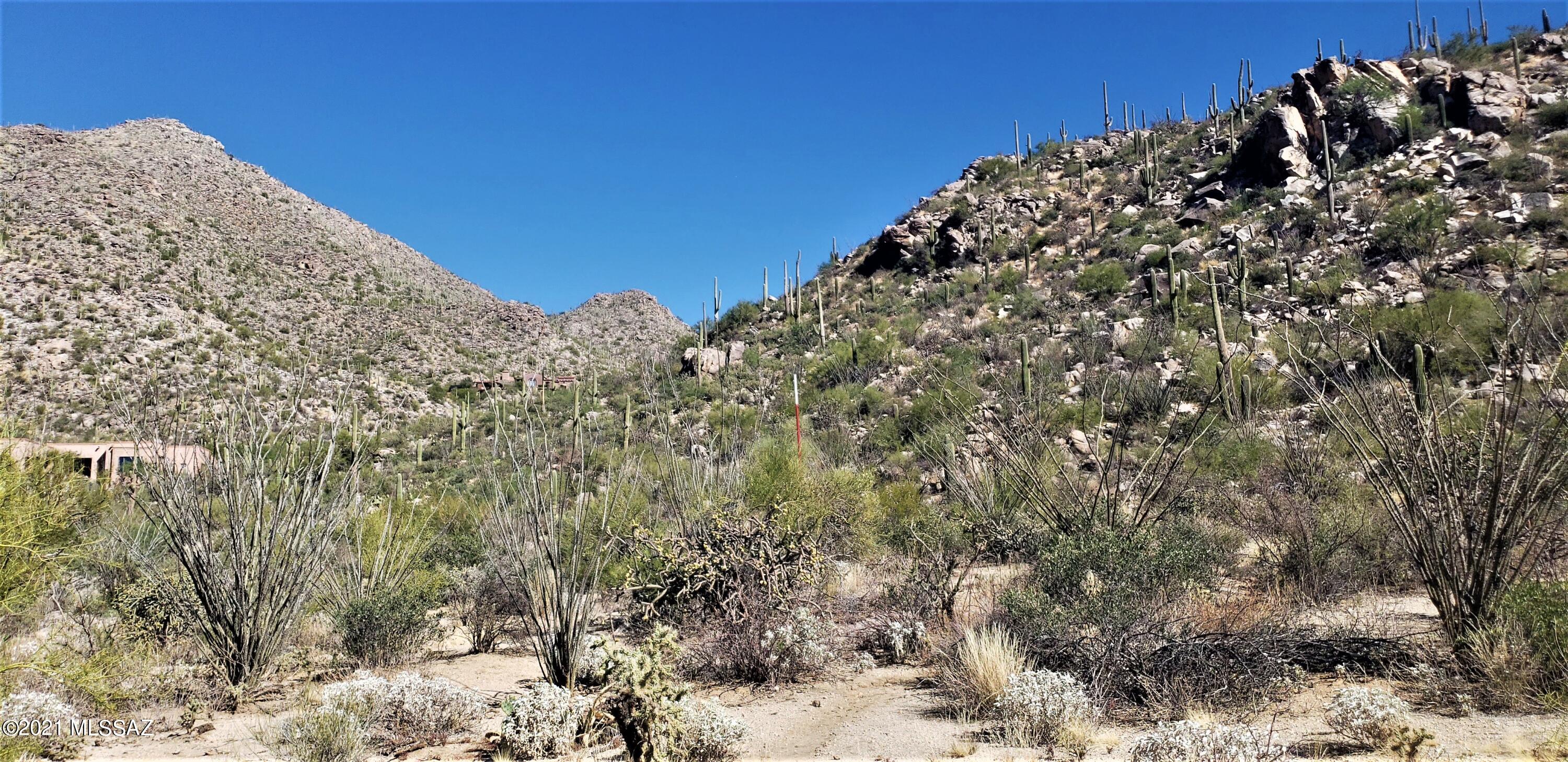 Canyon Pass II At Dove Mountain (49-110) - Land