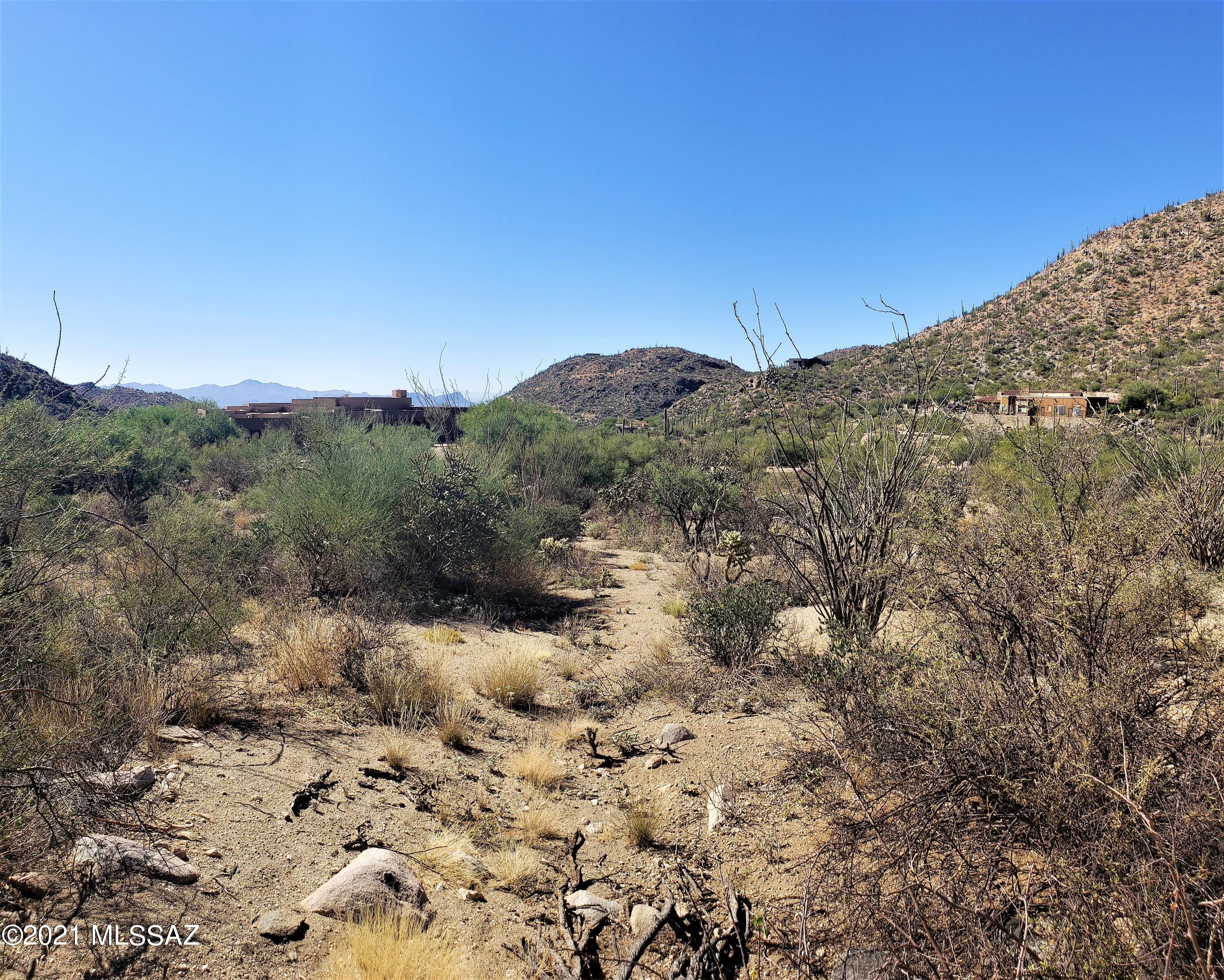 Canyon Pass II At Dove Mountain (49-110) - Land