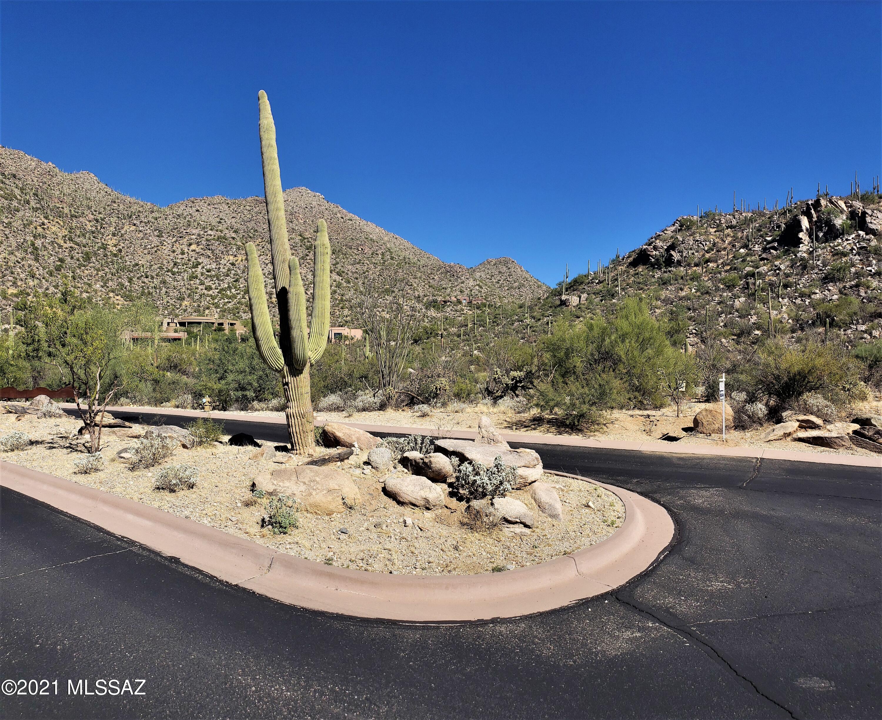 Canyon Pass II At Dove Mountain (49-110) - Land