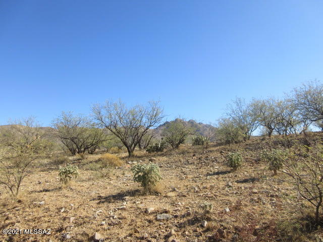 Rio Rico Ranchettes 17 - Land