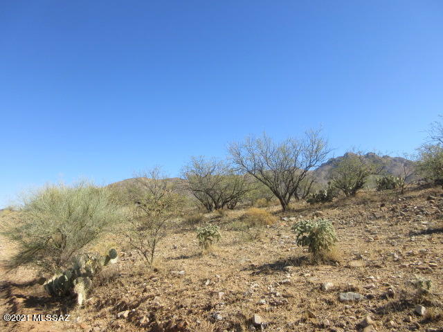 Rio Rico Ranchettes 17 - Land