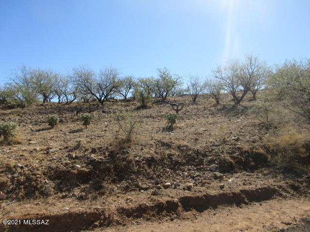 Rio Rico Ranchettes 17 - Land