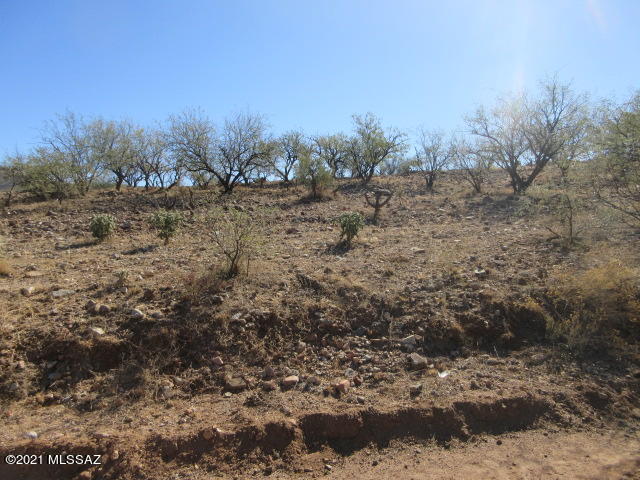 Rio Rico Ranchettes 17 - Land