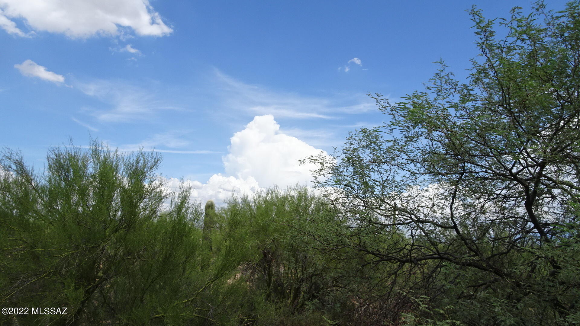 Del Cerro Estates NO. 3 (1-8) - Land