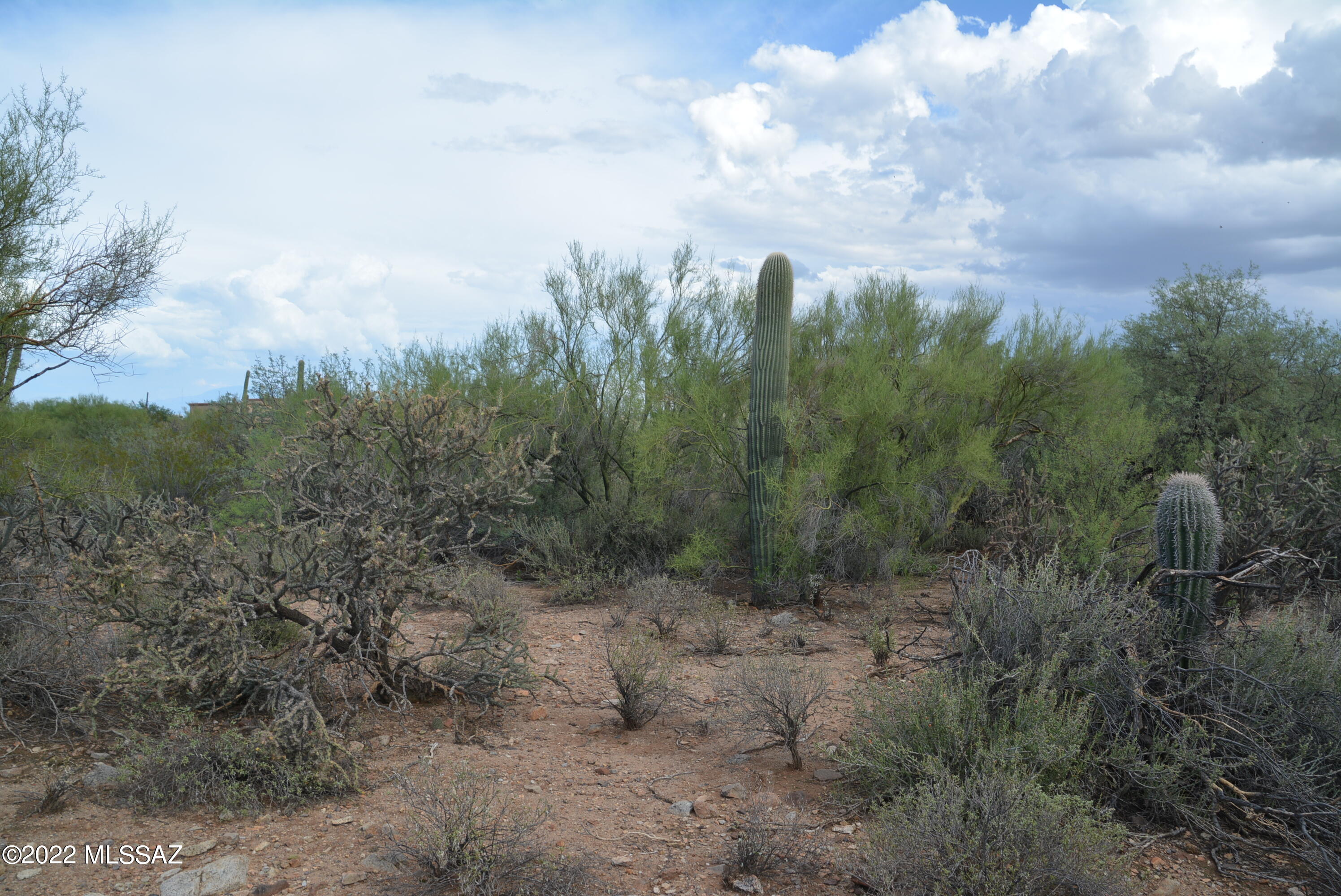 Del Cerro Estates NO. 3 (1-8) - Land