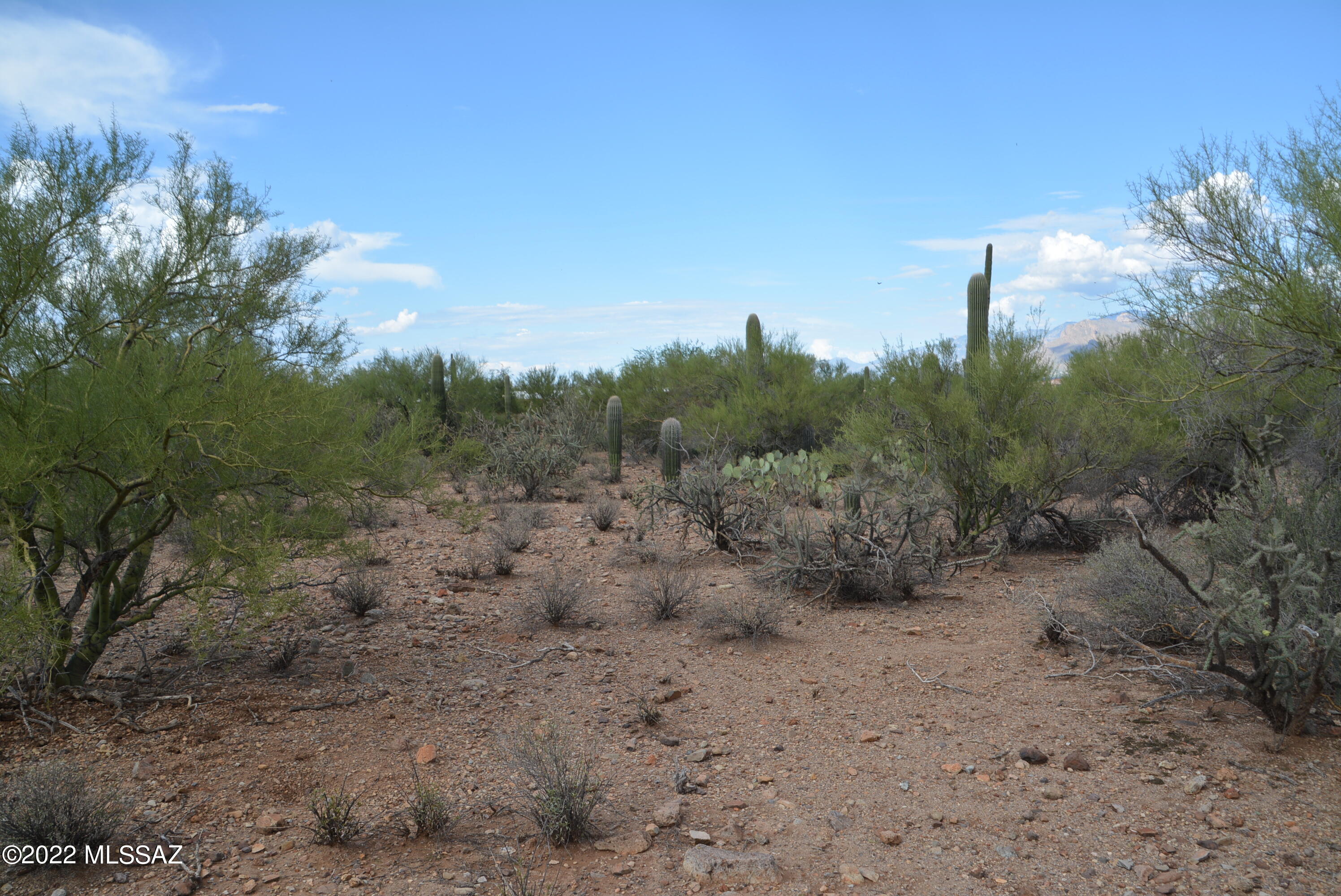 Del Cerro Estates NO. 3 (1-8) - Land