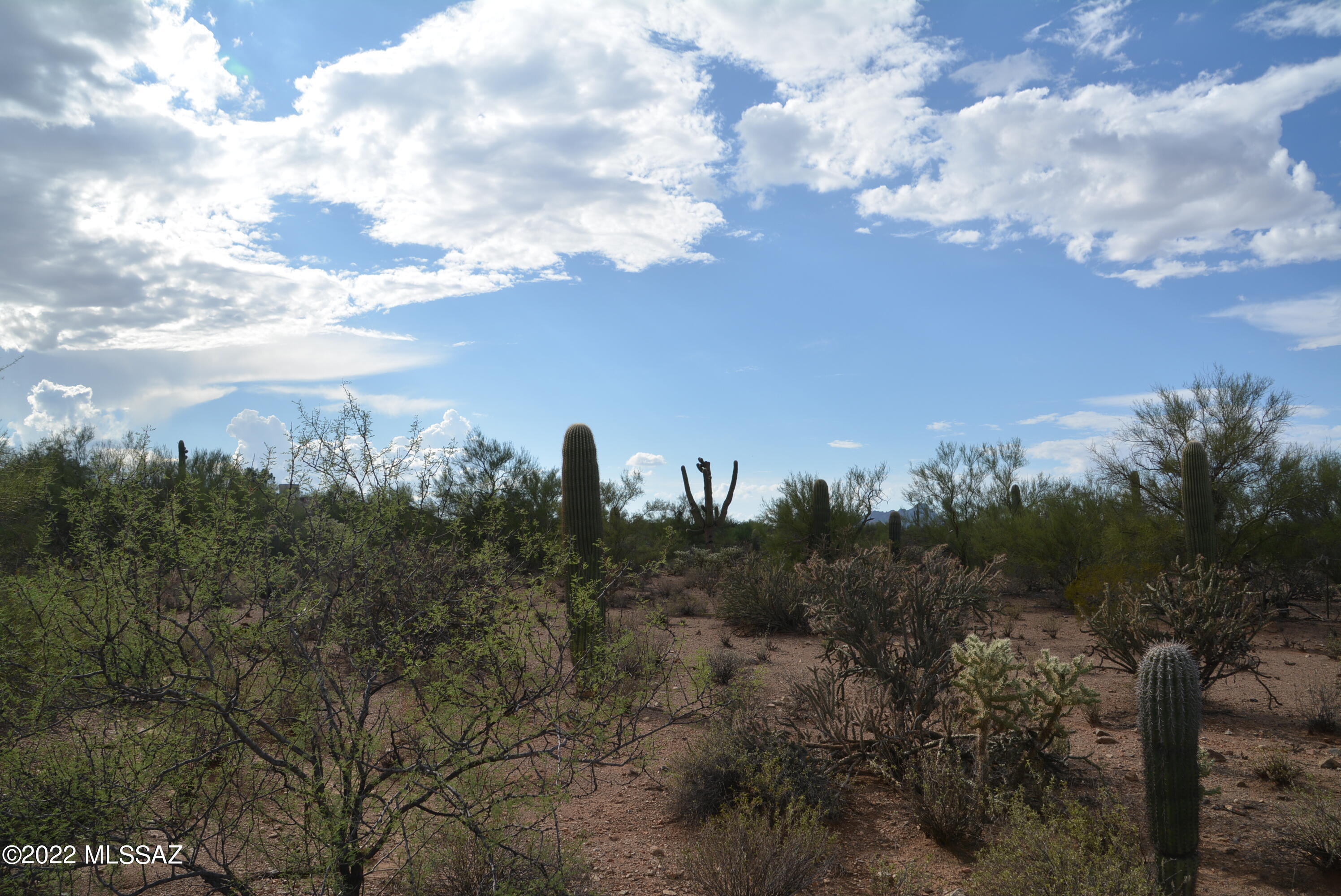 Del Cerro Estates NO. 3 (1-8) - Land