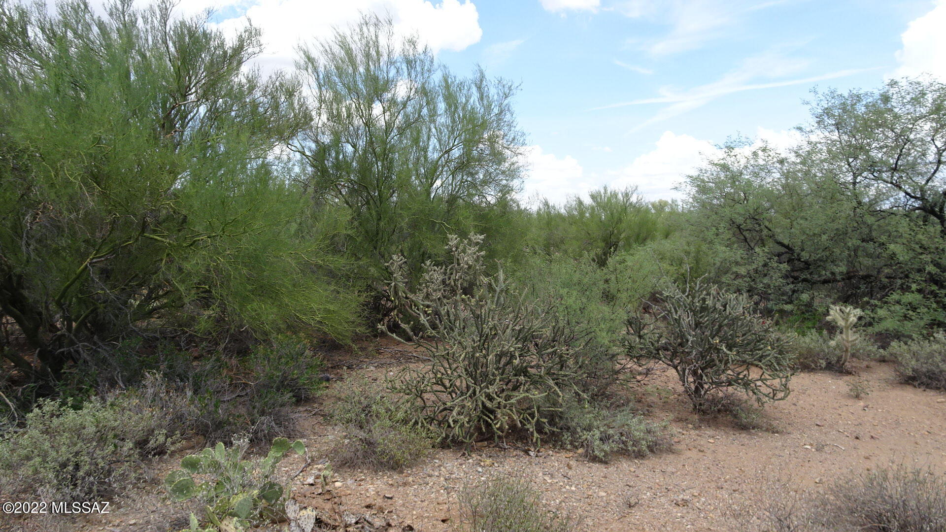 Del Cerro Estates NO. 3 (1-8) - Land