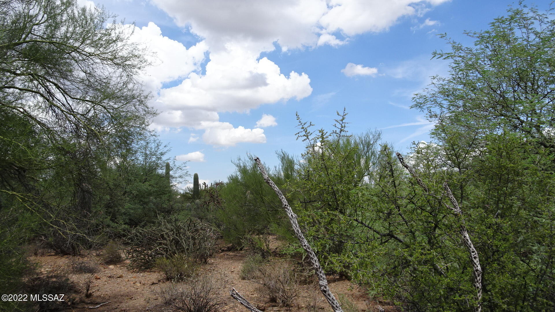 Del Cerro Estates NO. 3 (1-8) - Land