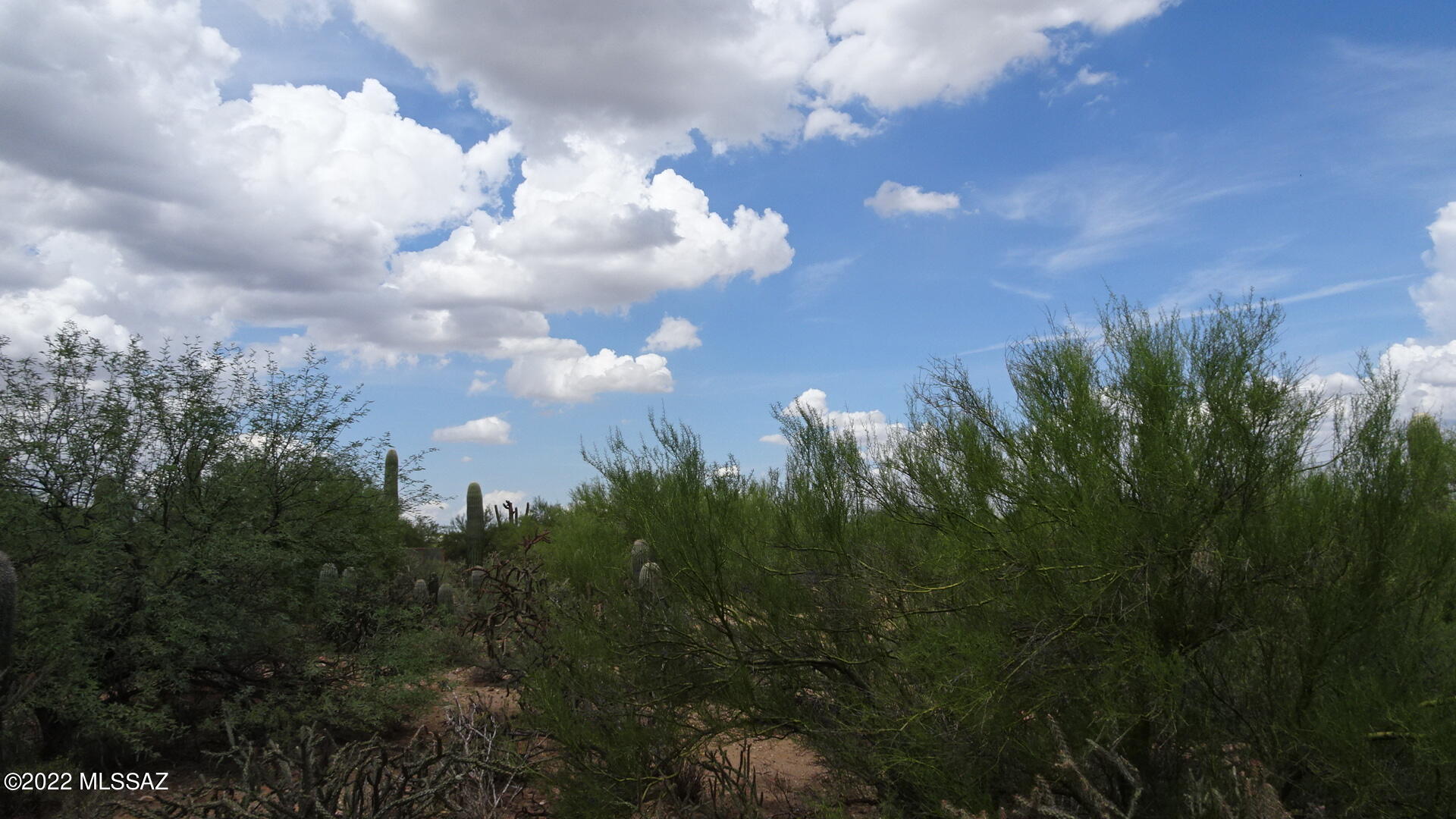 Del Cerro Estates NO. 3 (1-8) - Land