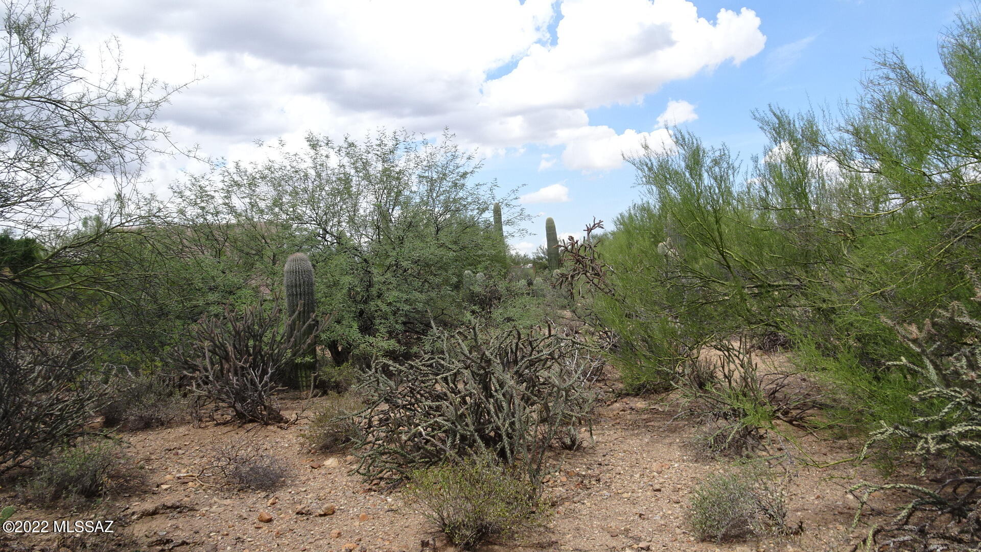 Del Cerro Estates NO. 3 (1-8) - Land
