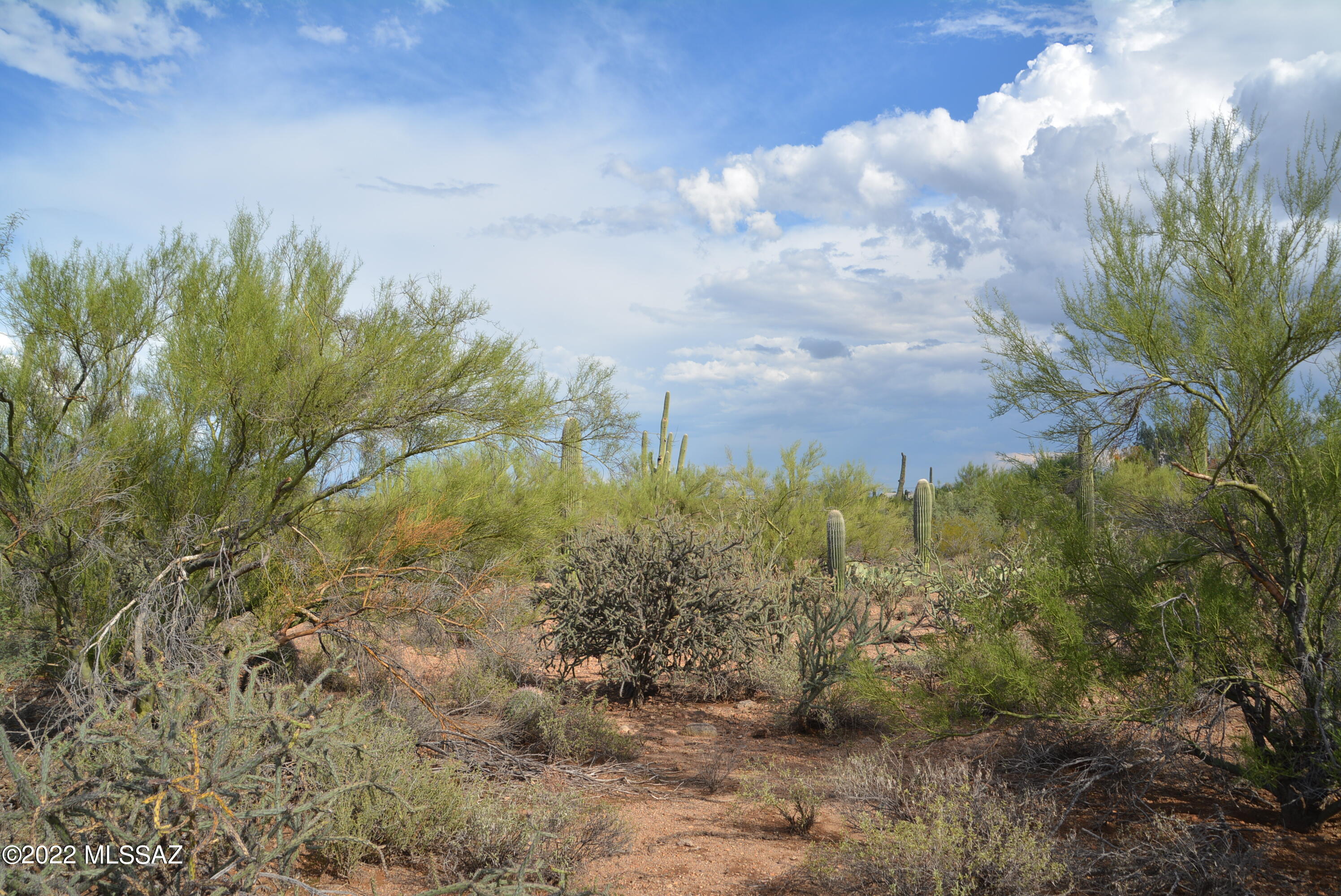 Del Cerro Estates NO. 3 (1-8) - Land