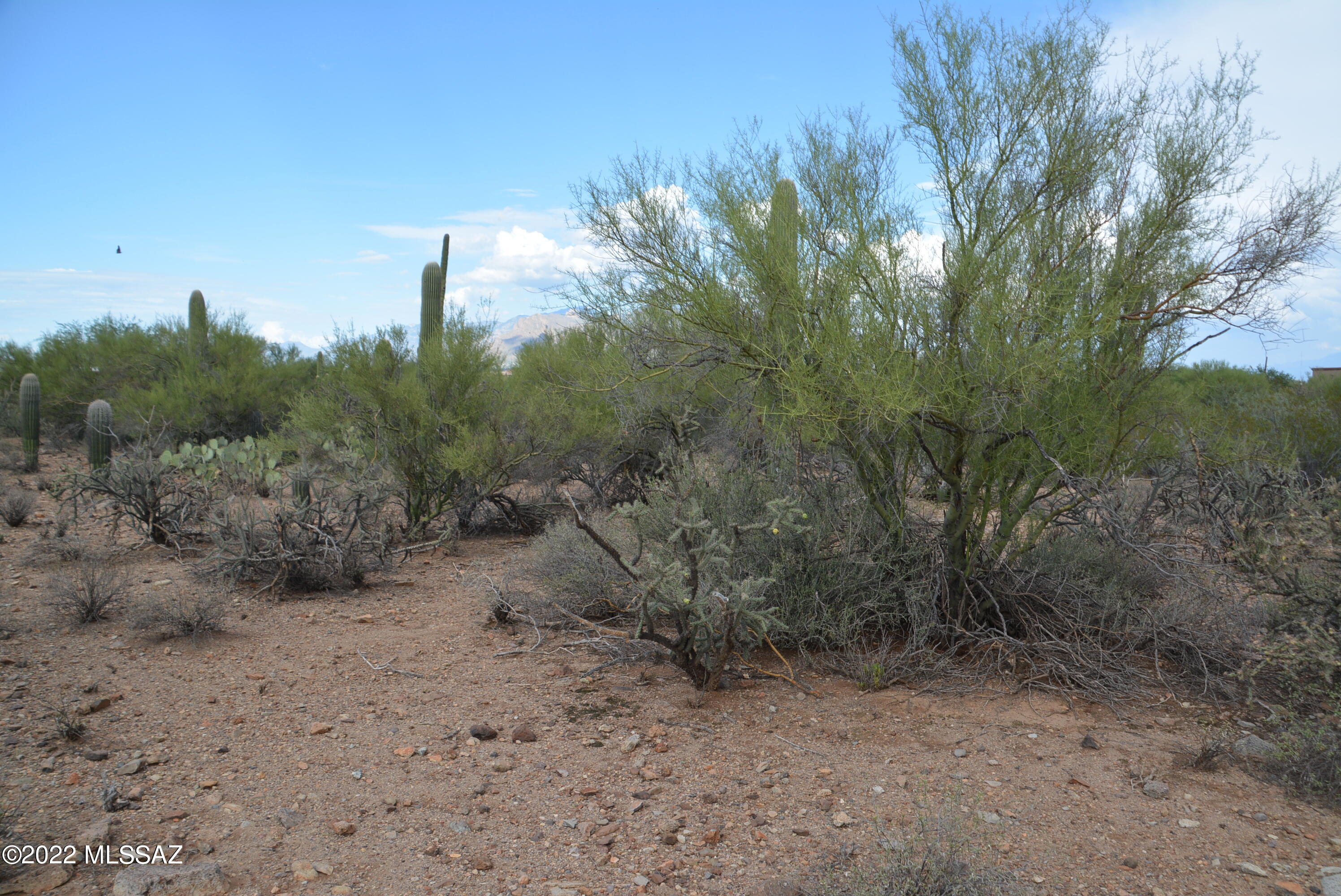 Del Cerro Estates NO. 3 (1-8) - Land