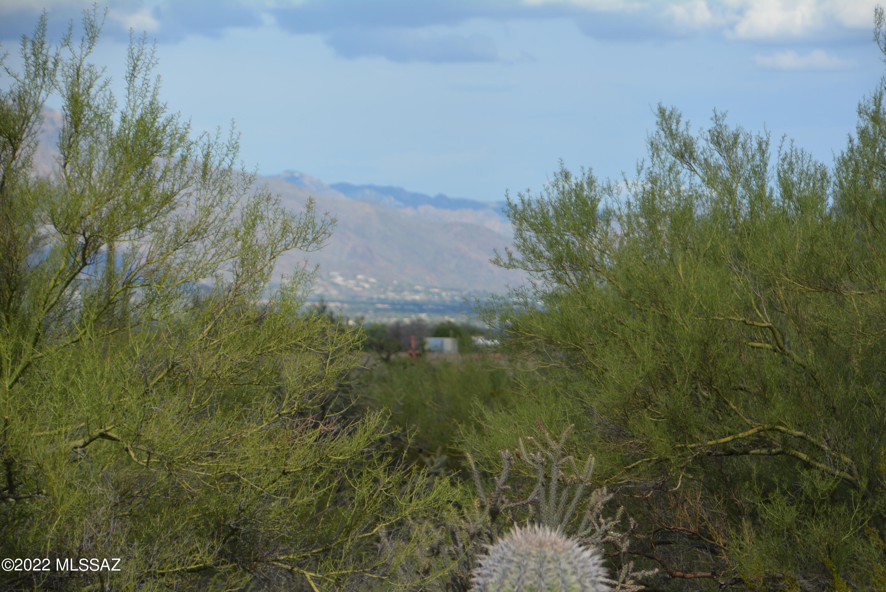 Del Cerro Estates NO. 3 (1-8) - Land
