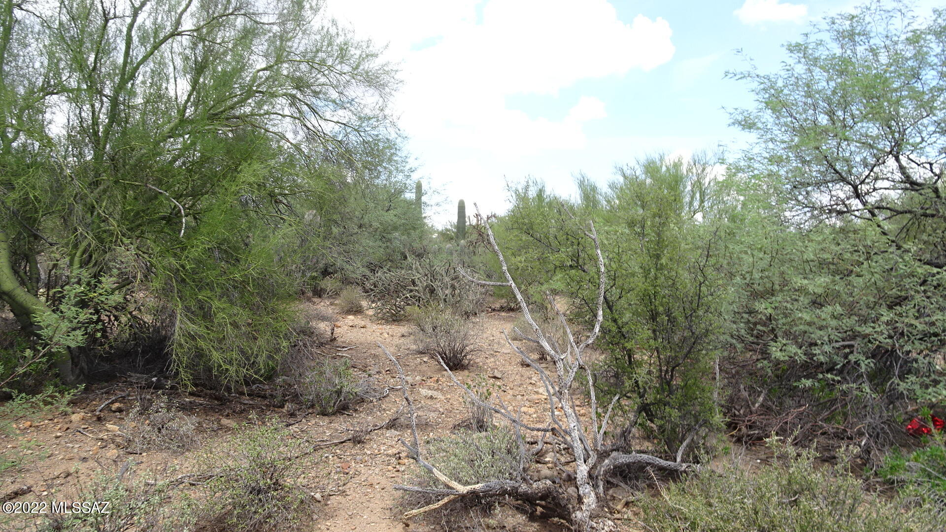 Del Cerro Estates NO. 3 (1-8) - Land