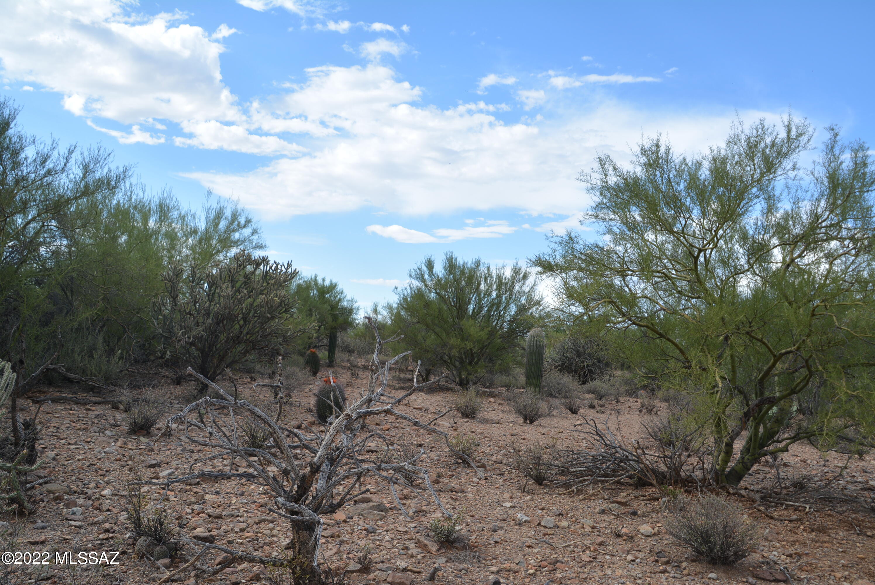 Rare Chance to own an easy build cul-de-sac lot in Del Cerro Estates. Lot of natural desert vegetation with mountain and sunrise views. Paved road with utilities right at the lot line. Mature cacti, great vegetation. Builder services available. Close to I-10, shopping and downtown.