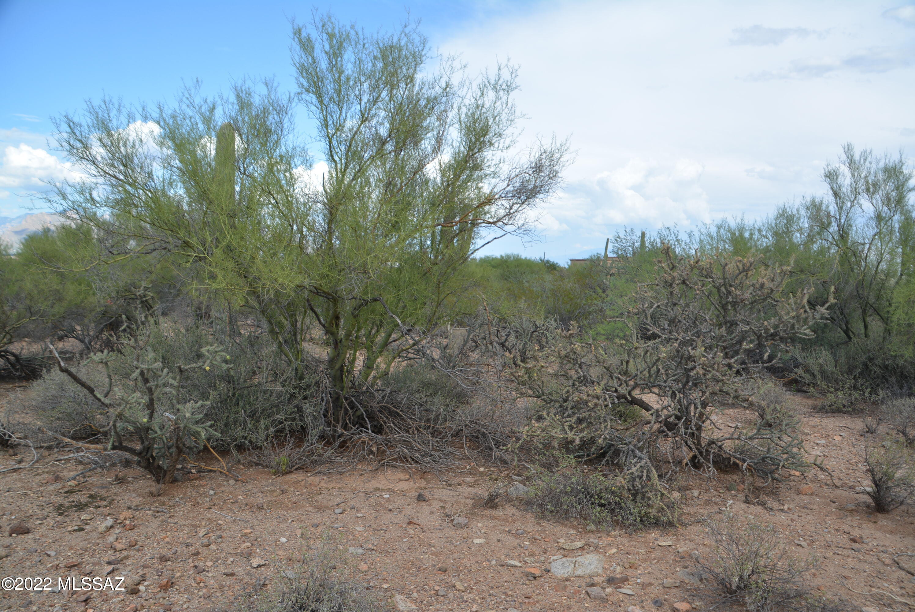 Del Cerro Estates NO. 3 (1-8) - Land