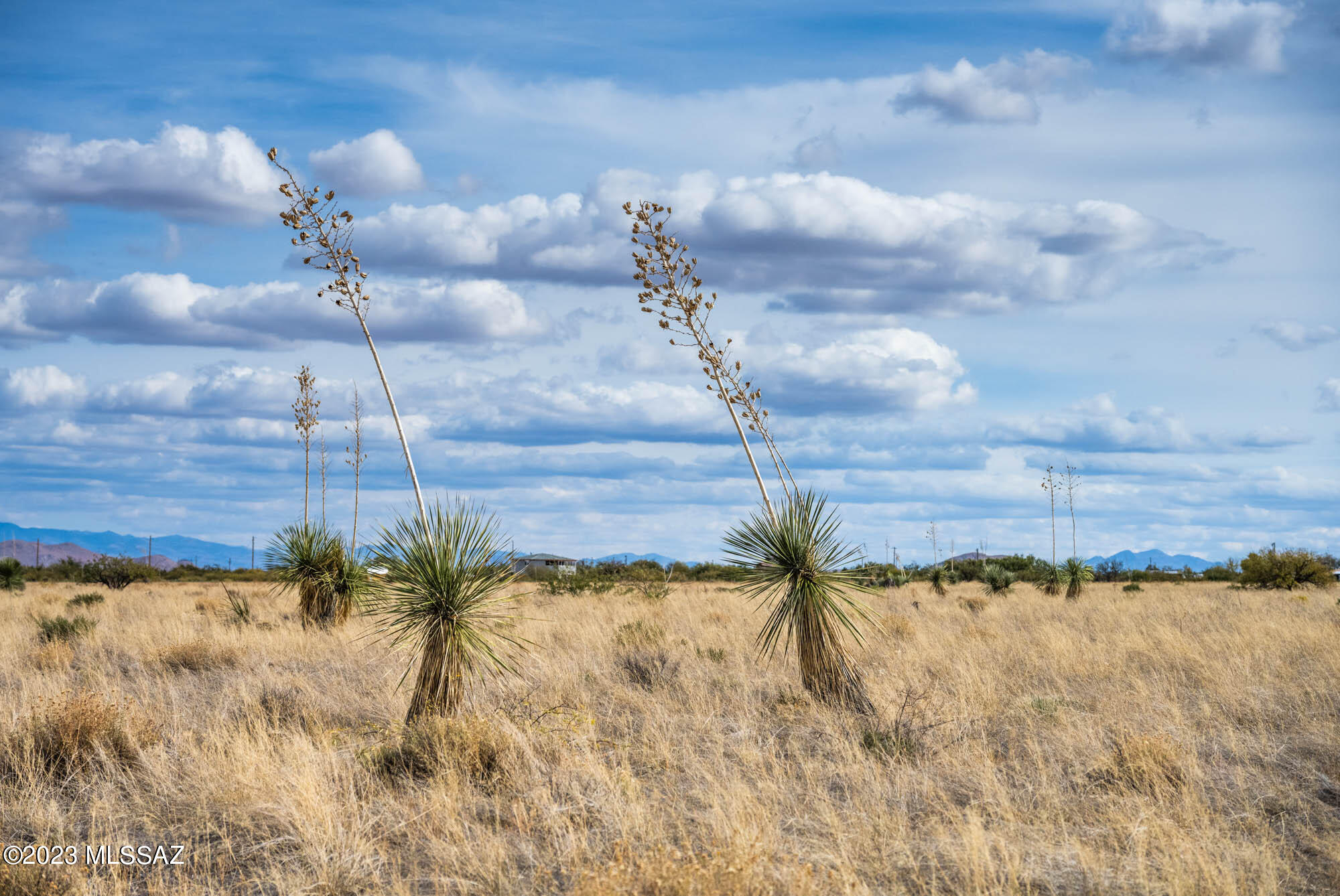 Arizona Sun Sites - Land