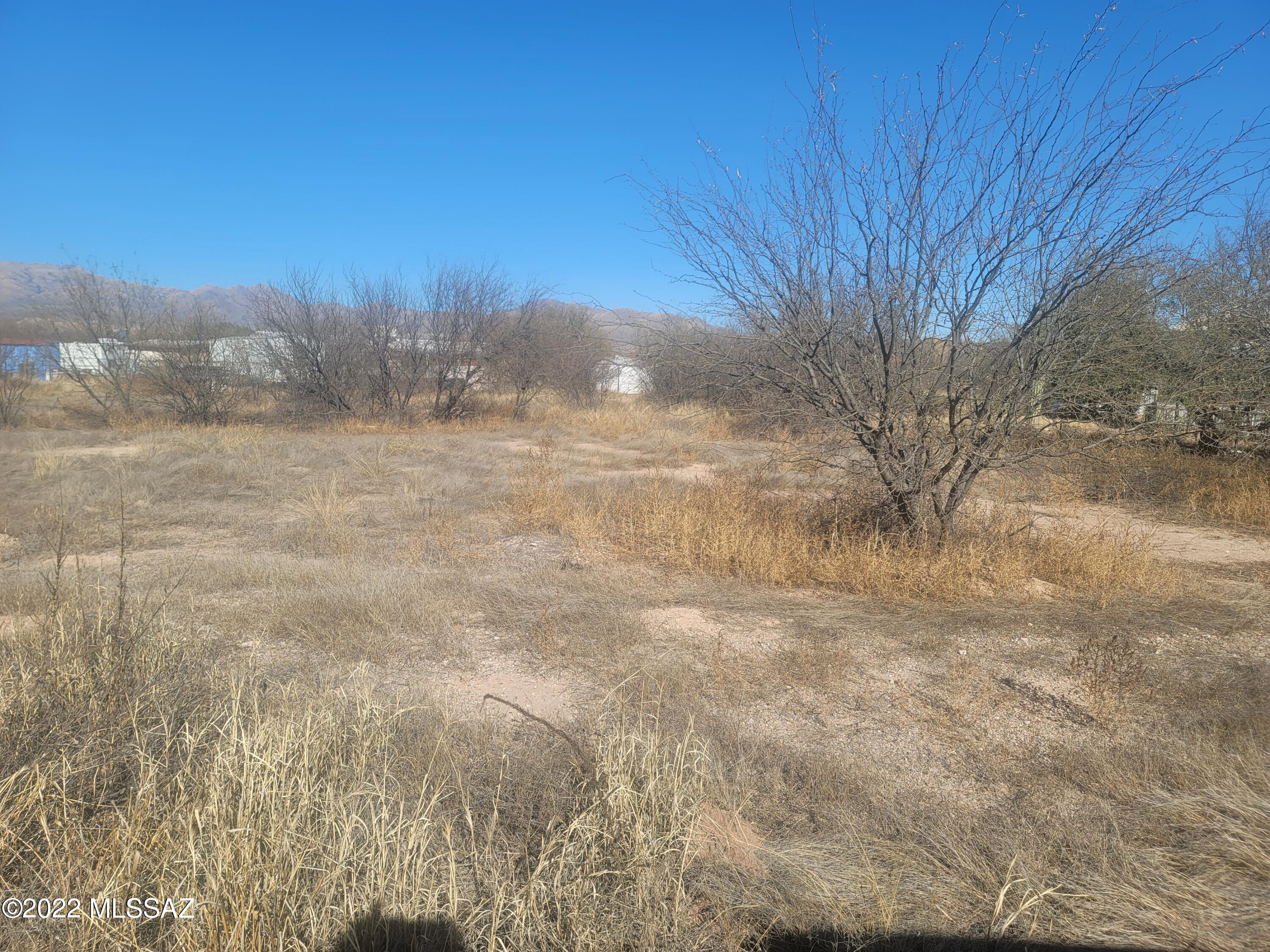 Willow Lakes - Land