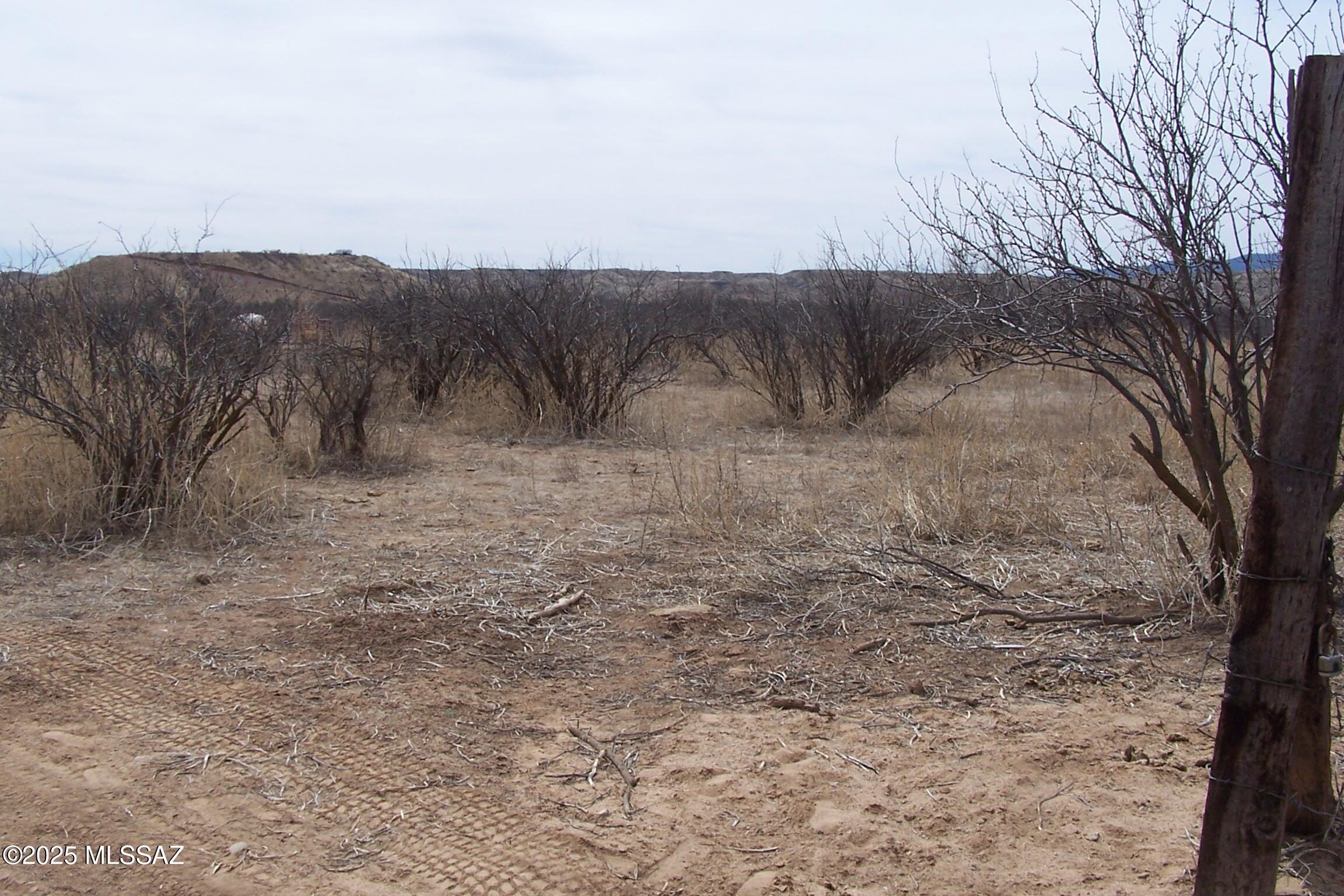 Out Of Pima County - Land
