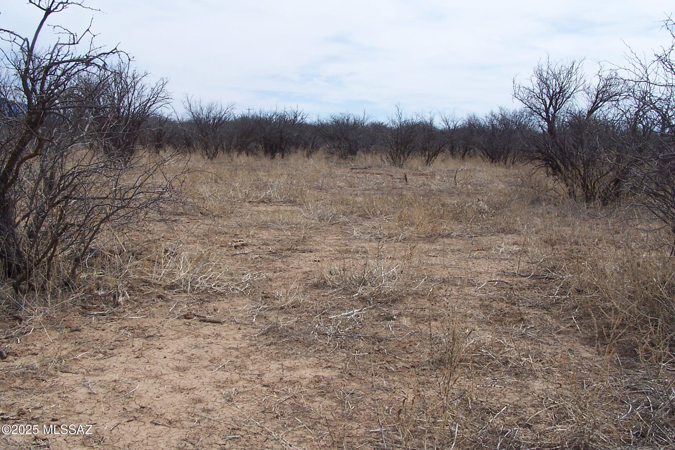Out Of Pima County - Land