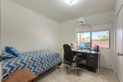 Colonia De Los Alamos - Viewpoint - Residential