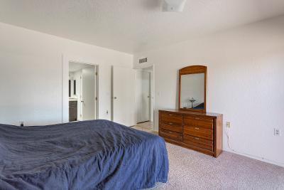 Colonia De Los Alamos - Viewpoint - Residential