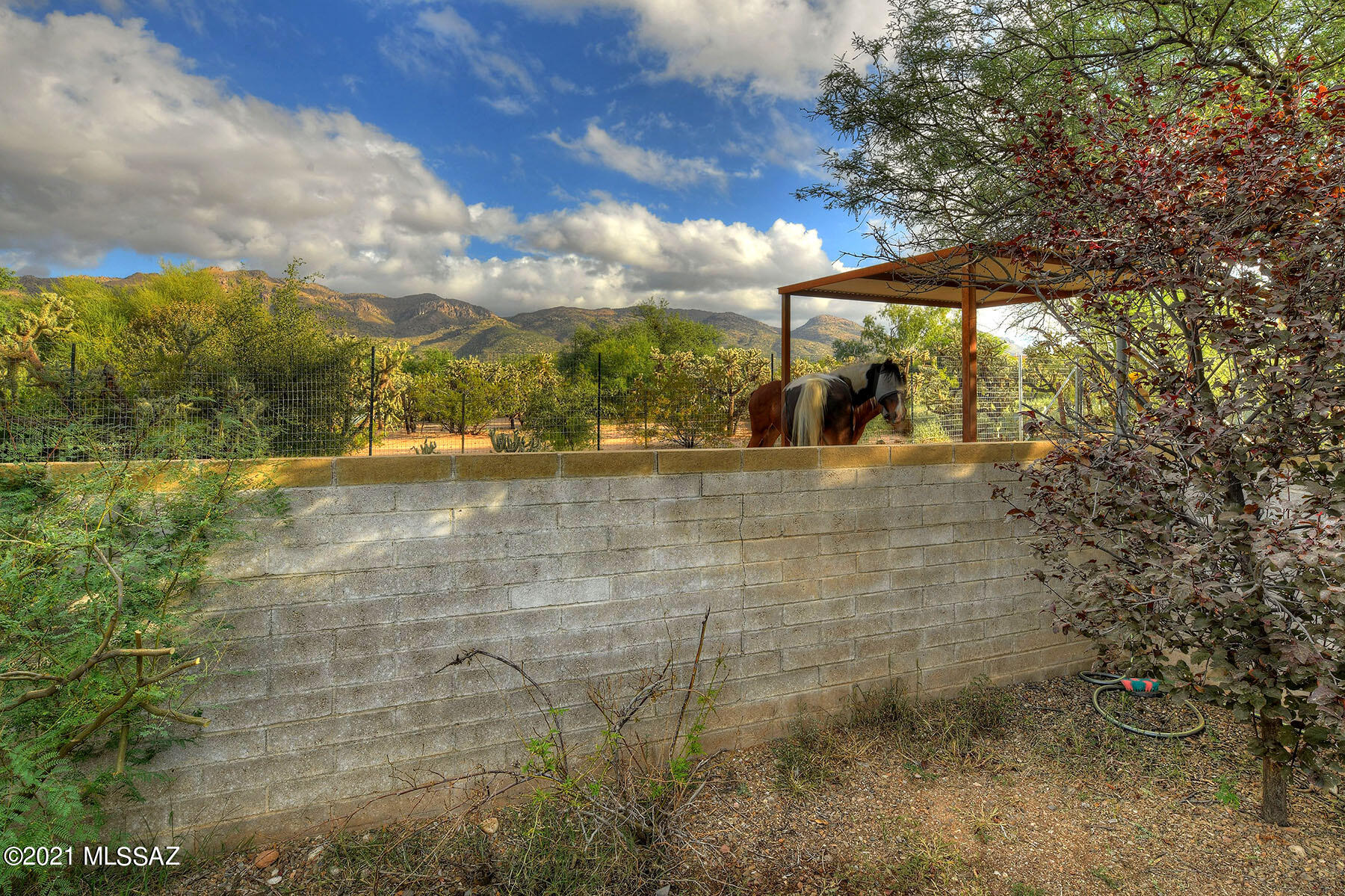 La Bella Vista (1-80) - Residential