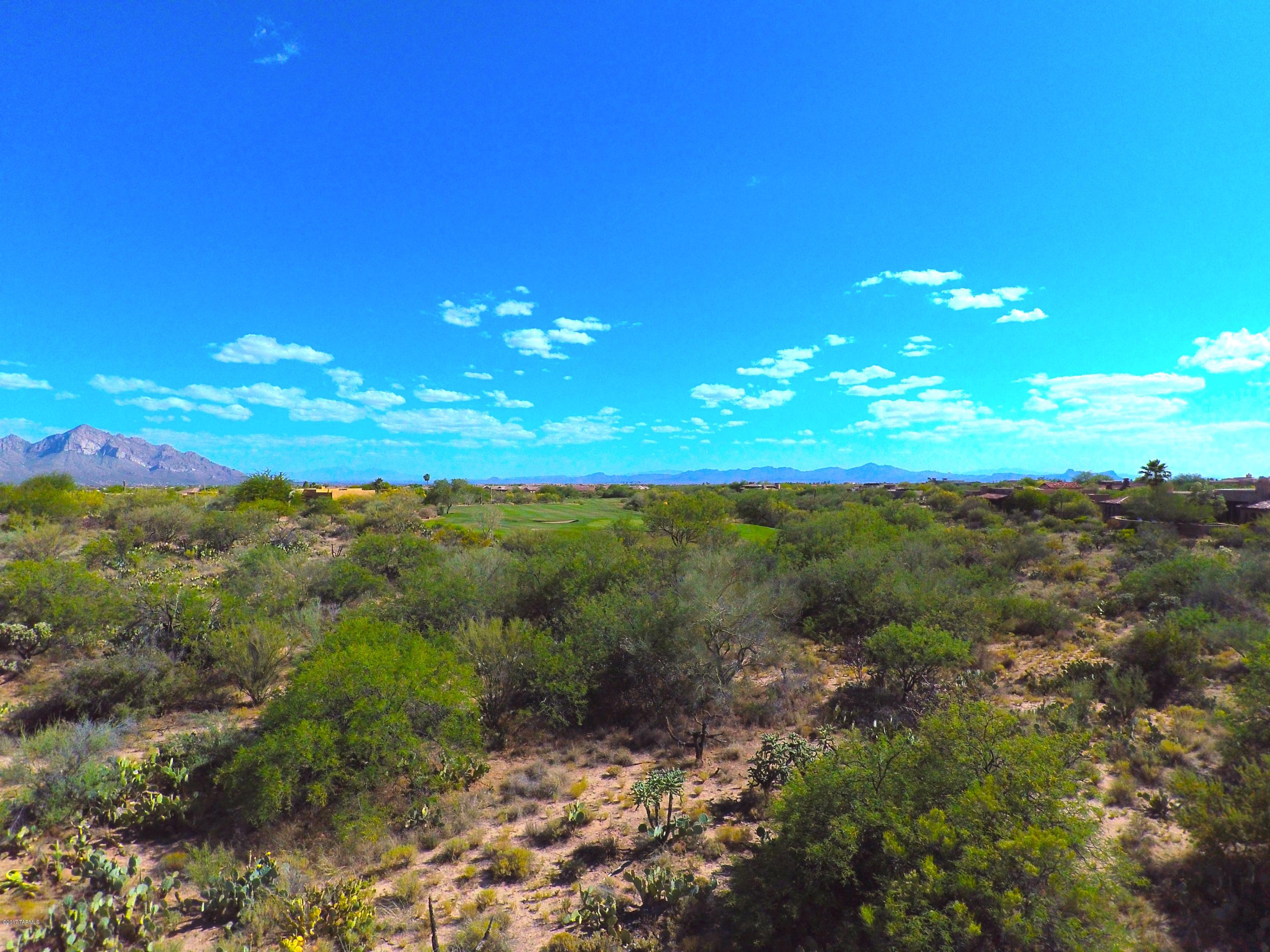 Amazing Catalina Mountain views! This lot backs up to hole #2 of Rancho Vistoso. This spectacular home site is within waking distance to the Stone Canyon Clubhouse as well as the Health and Fitness Center. Providing an easy building envelope and lush Sonoran Desert. Ask us about our builder program!