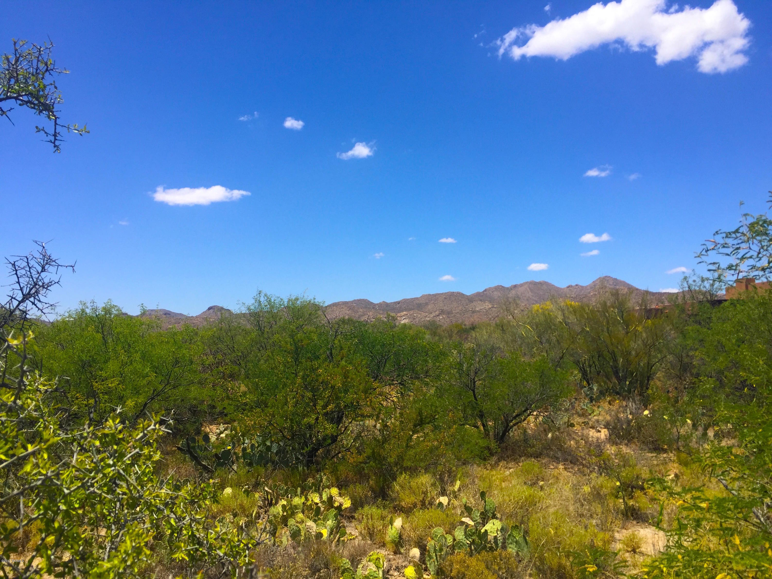 Stone Canyon I - Land