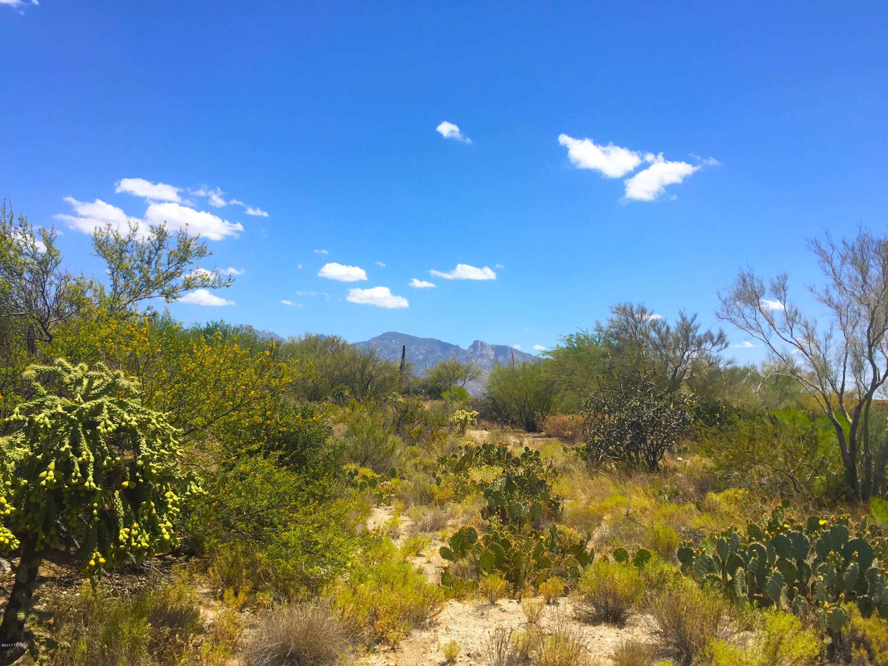 Stone Canyon I - Land