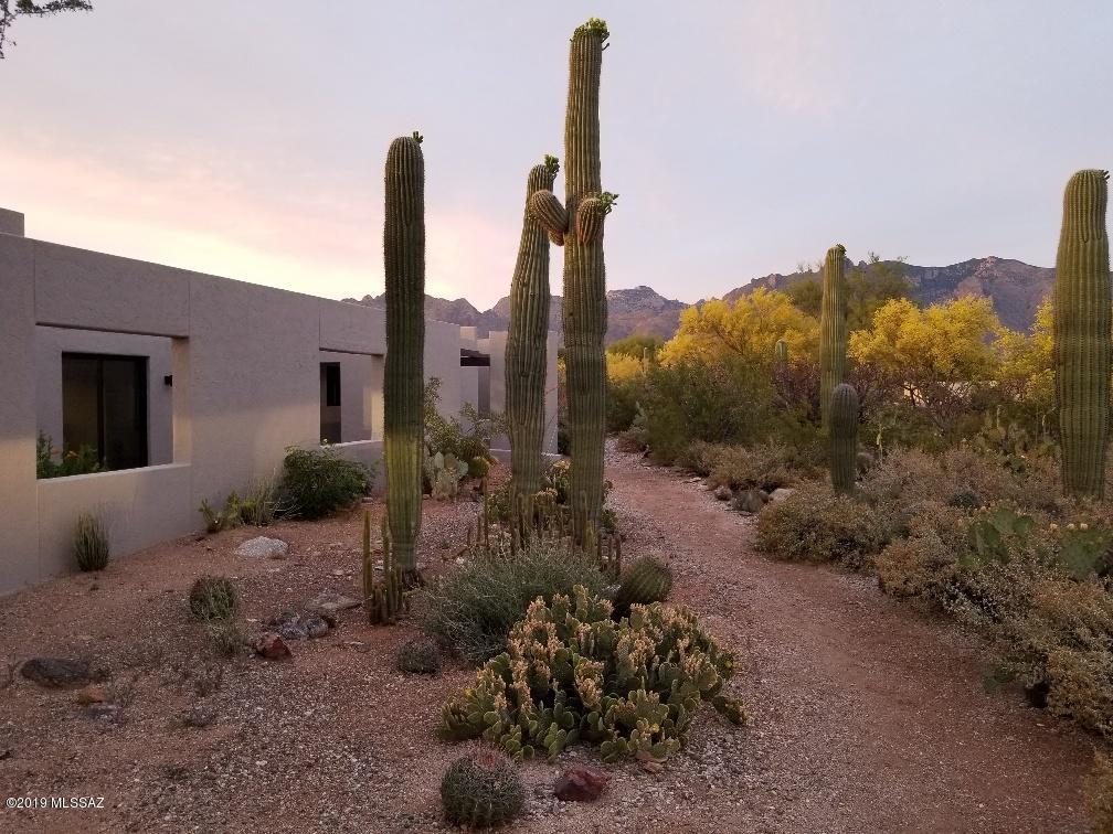 Recently renovated 4BR, 2½ BA, 2-car garage home in popular Catalina Foothills Estates #7.  This ARCHITECTURALLY UNIQUE masonry stucco home is surrounded by high courtyards accessible directly & individually from the living/dining rooms, & 3 of 4 bedrooms. Adding additional privacy & intimate gathering spaces, the courtyards all have open vents to frame the desert & mountain views. Views of the desert through the courtyard vents into the home's interior resemble desert landscape paintings which change as you move throughout the interior spaces.  Beautiful saguaro studded lot w/pool at the end of a beautiful cul de sac.  New kitchen/baths w/white painted shaker cabinetry, grey Quartz countertops & pewter concrete flooring throughout. Large studio space off garage & pool. Owner/Agent Large walk-in master shower with separate soaking tub and dual vanities in the master bedroom adjacent to a huge walk-in closet.  Newly finished concrete flooring throughout.  Large 2-car garage (new garage doors) also contains a separate studio space with direct access to the rear patios and pool.  Large circular driveway with ample guest parking.