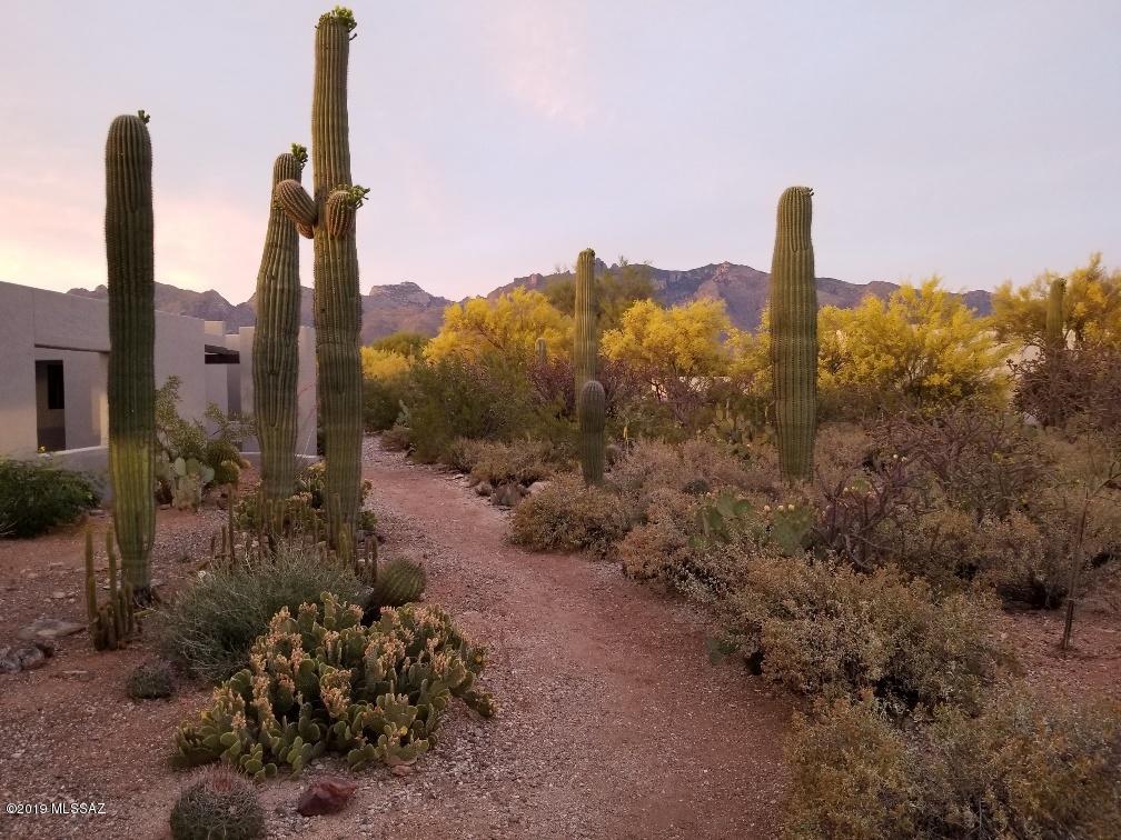 Catalina Foothills Estates NO. 7 - Residential