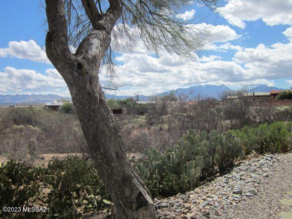Continental Vistas(1-302) - Residential