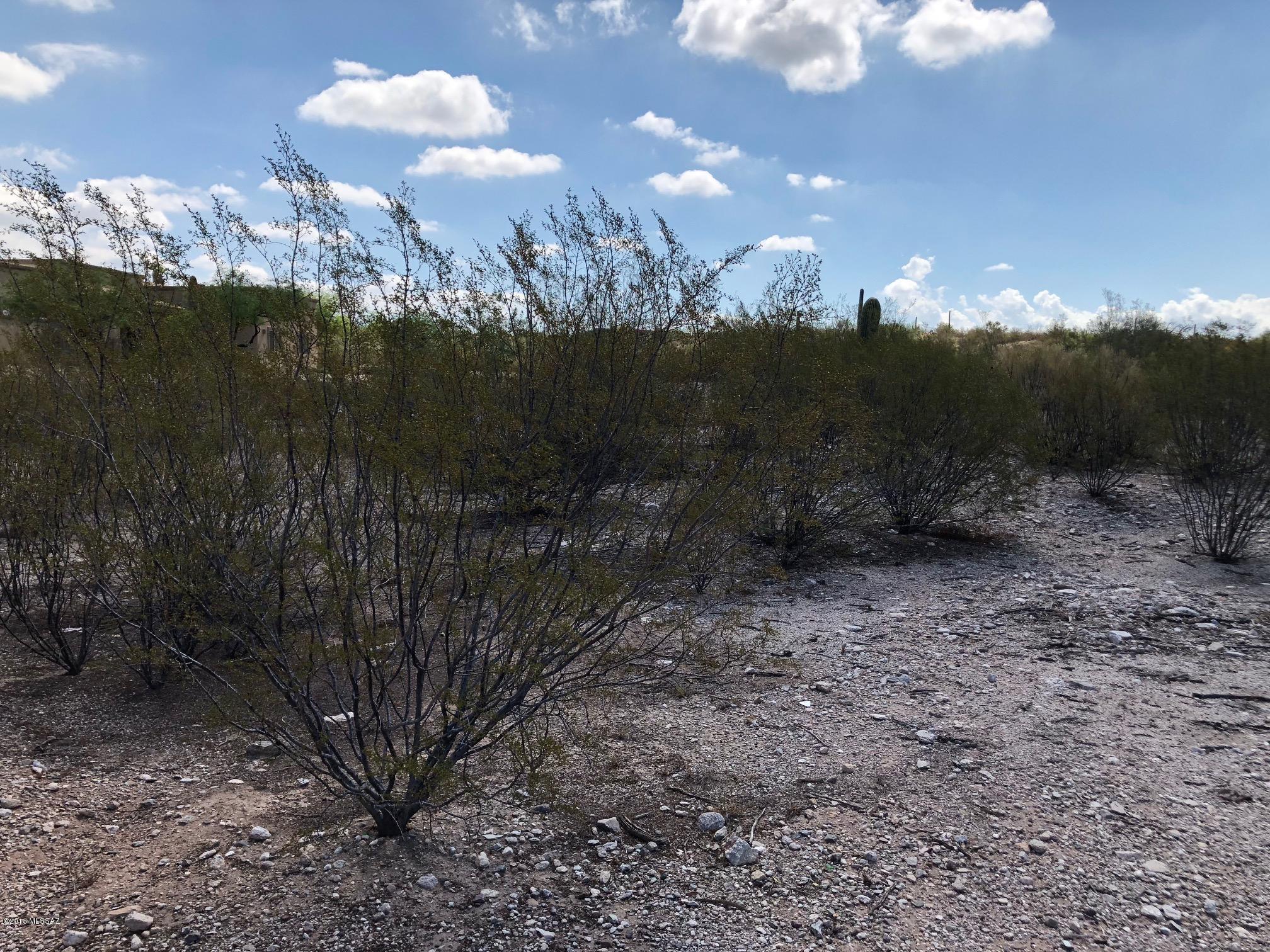 Catalina Foothills Estates NO. 2 - Land