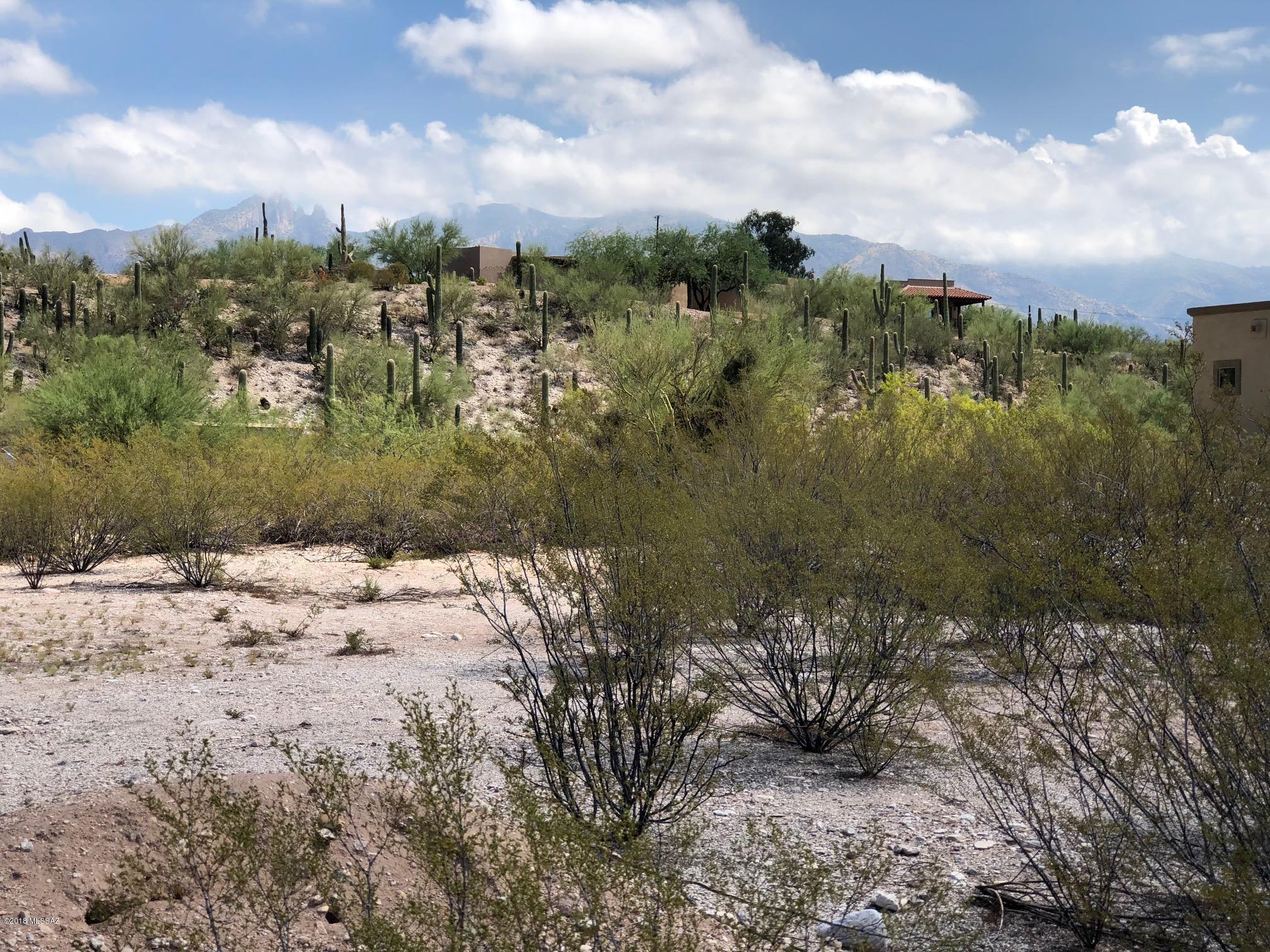 Catalina Foothills Estates NO. 2 - Land