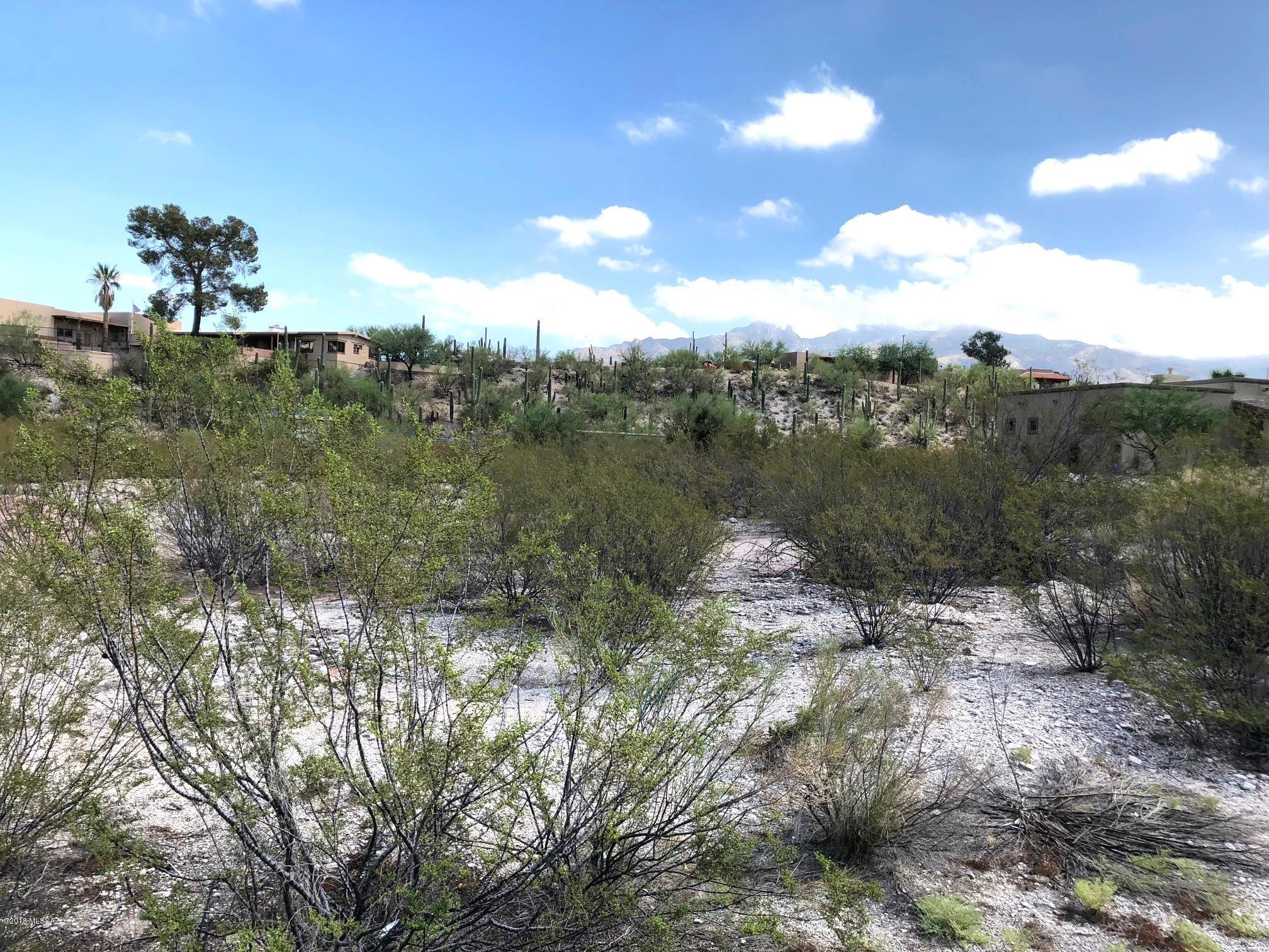 Catalina Foothills Estates NO. 2 - Land
