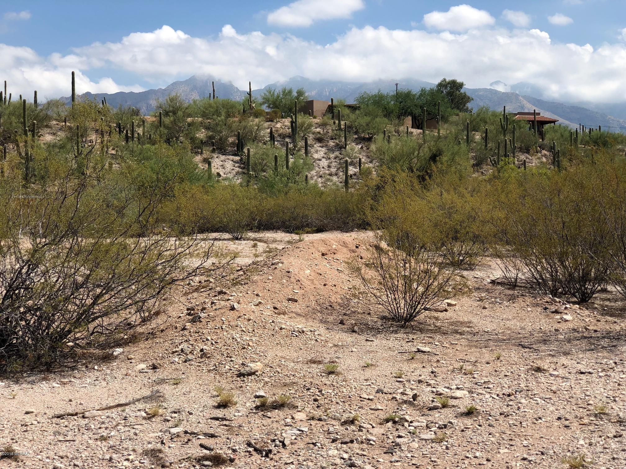 Catalina Foothills Estates NO. 2 - Land