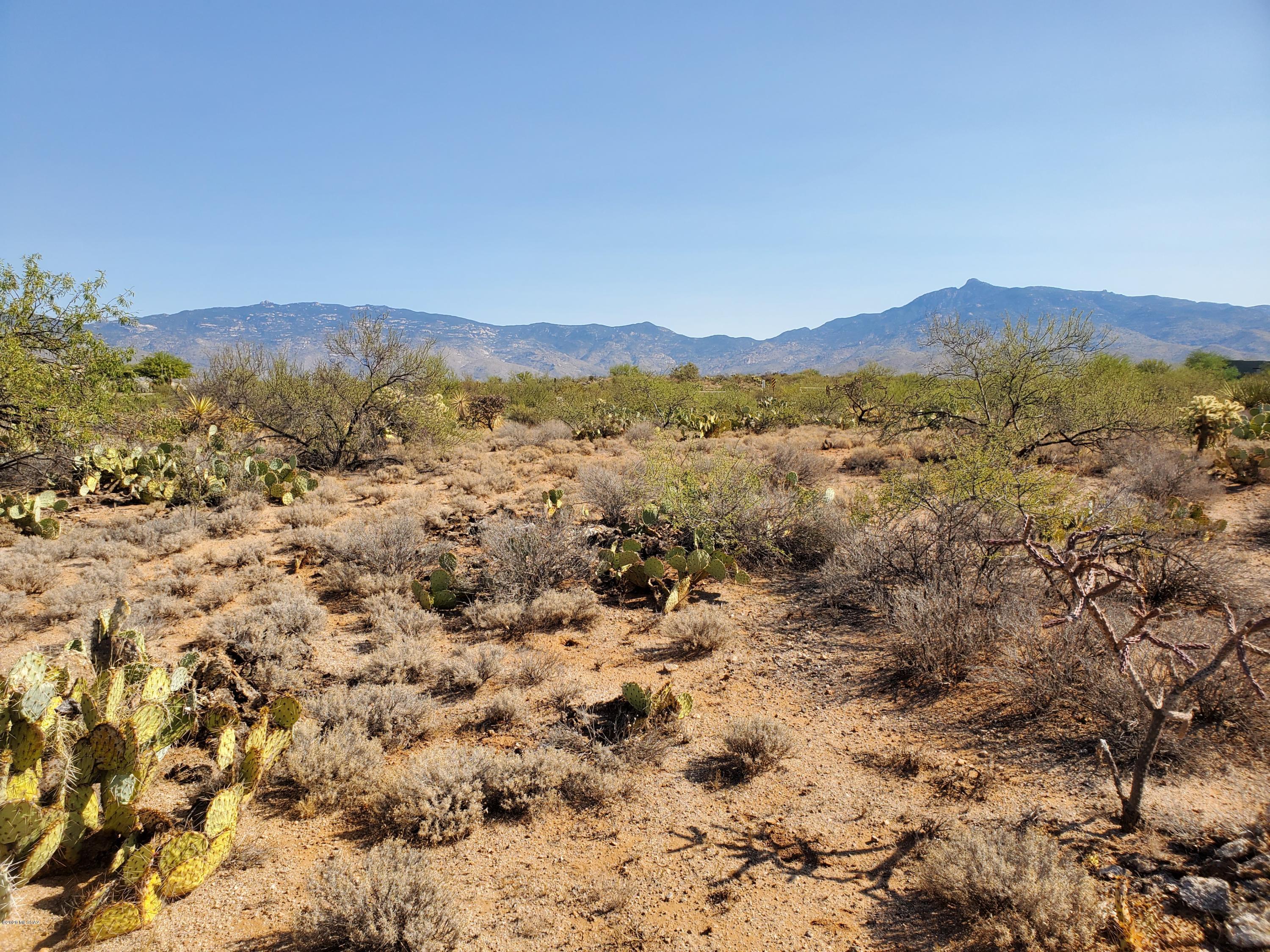 Mountain Creek Ranch (1-64) - Land