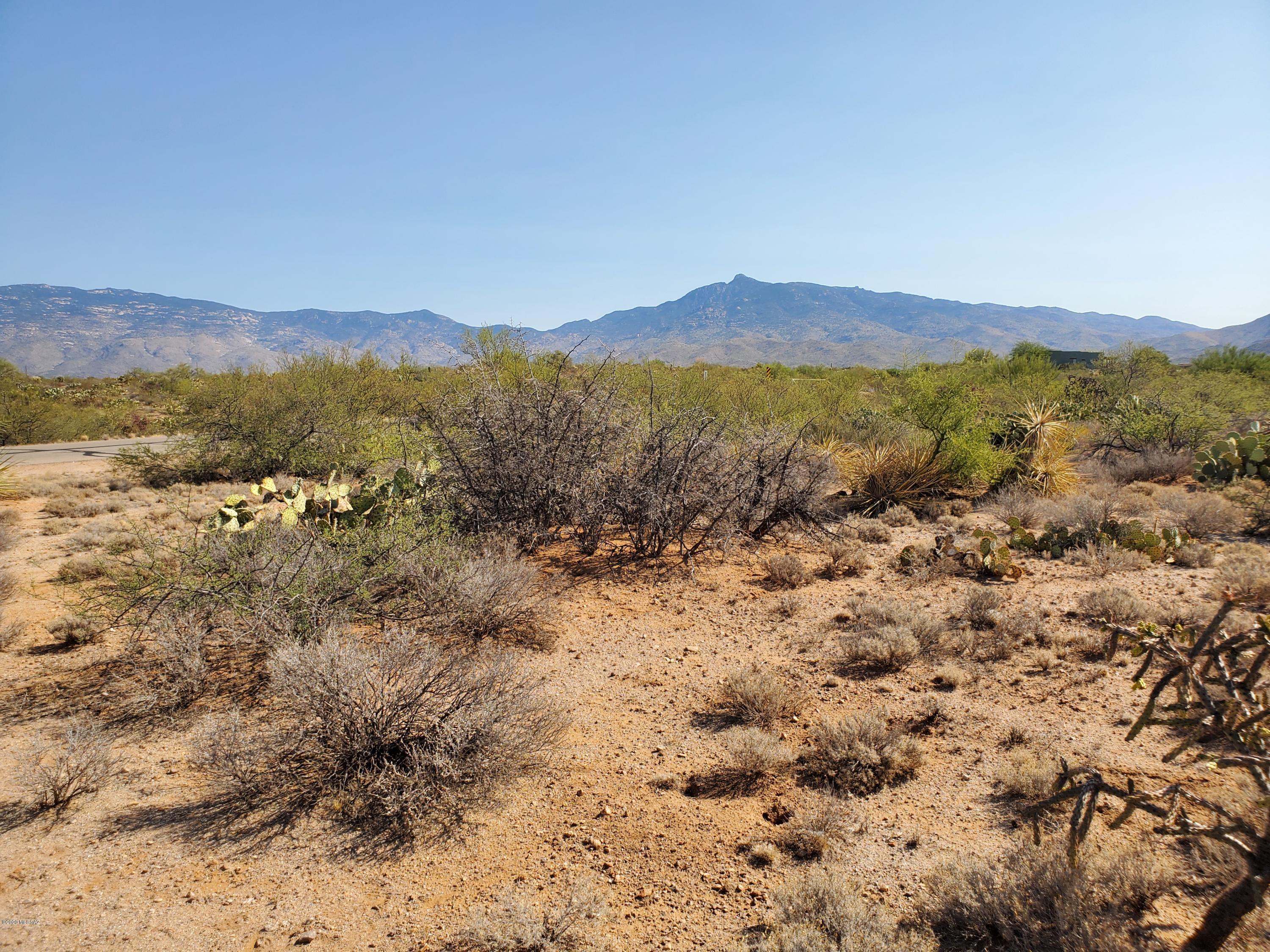 Mountain Creek Ranch (1-64) - Land
